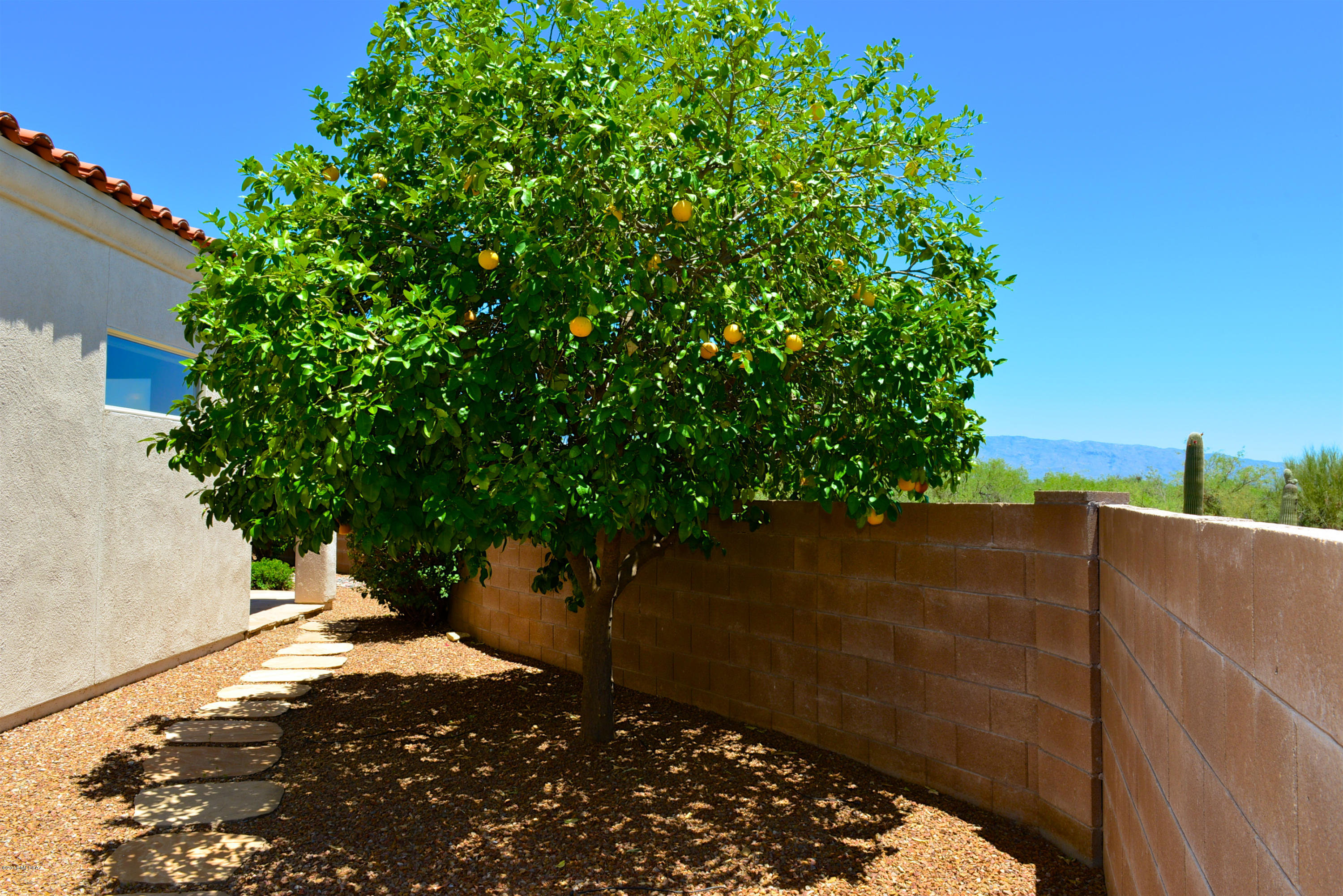 5116 N Fairway Spring Drive