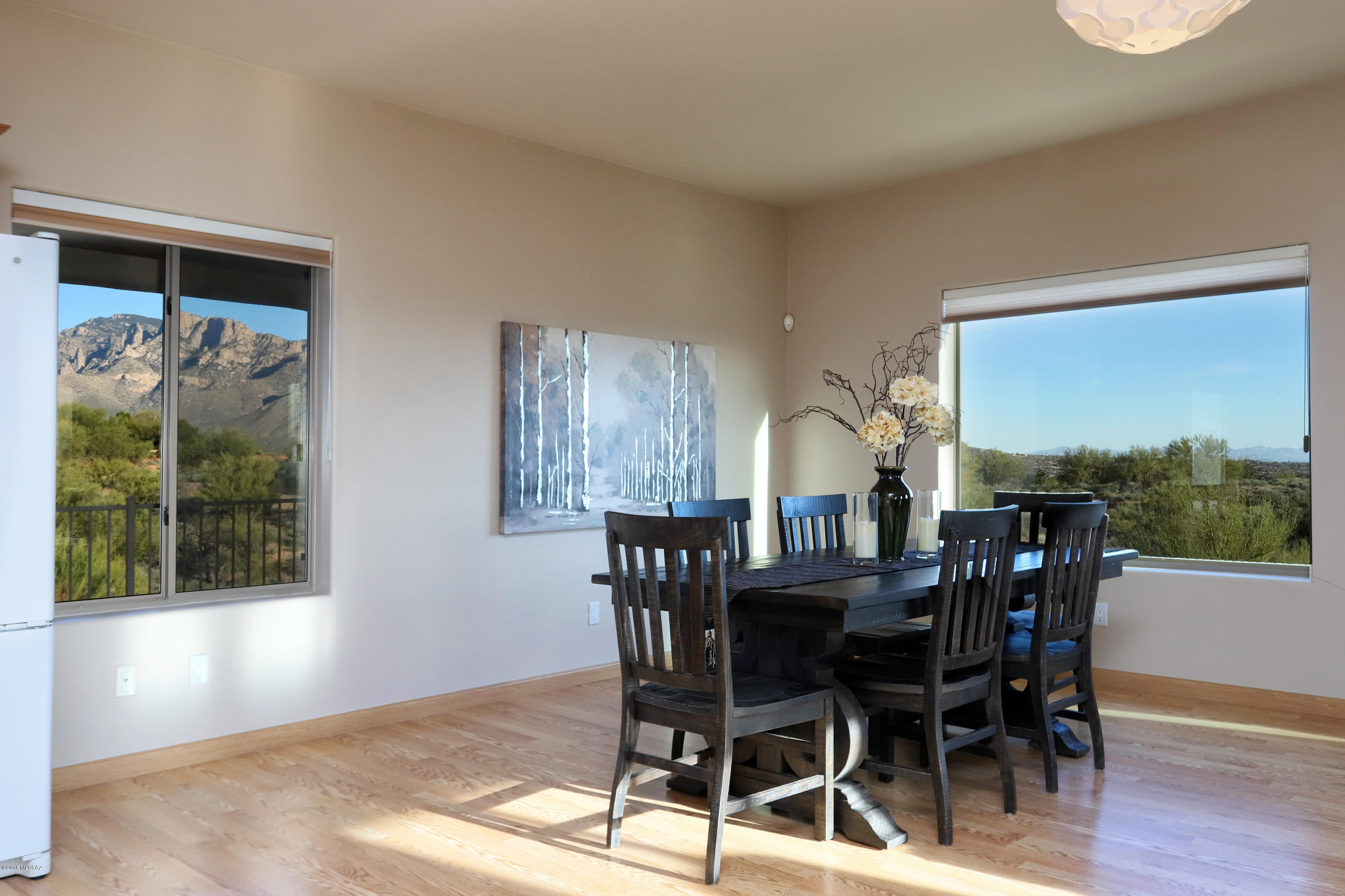 11170 N Stargazer Drive