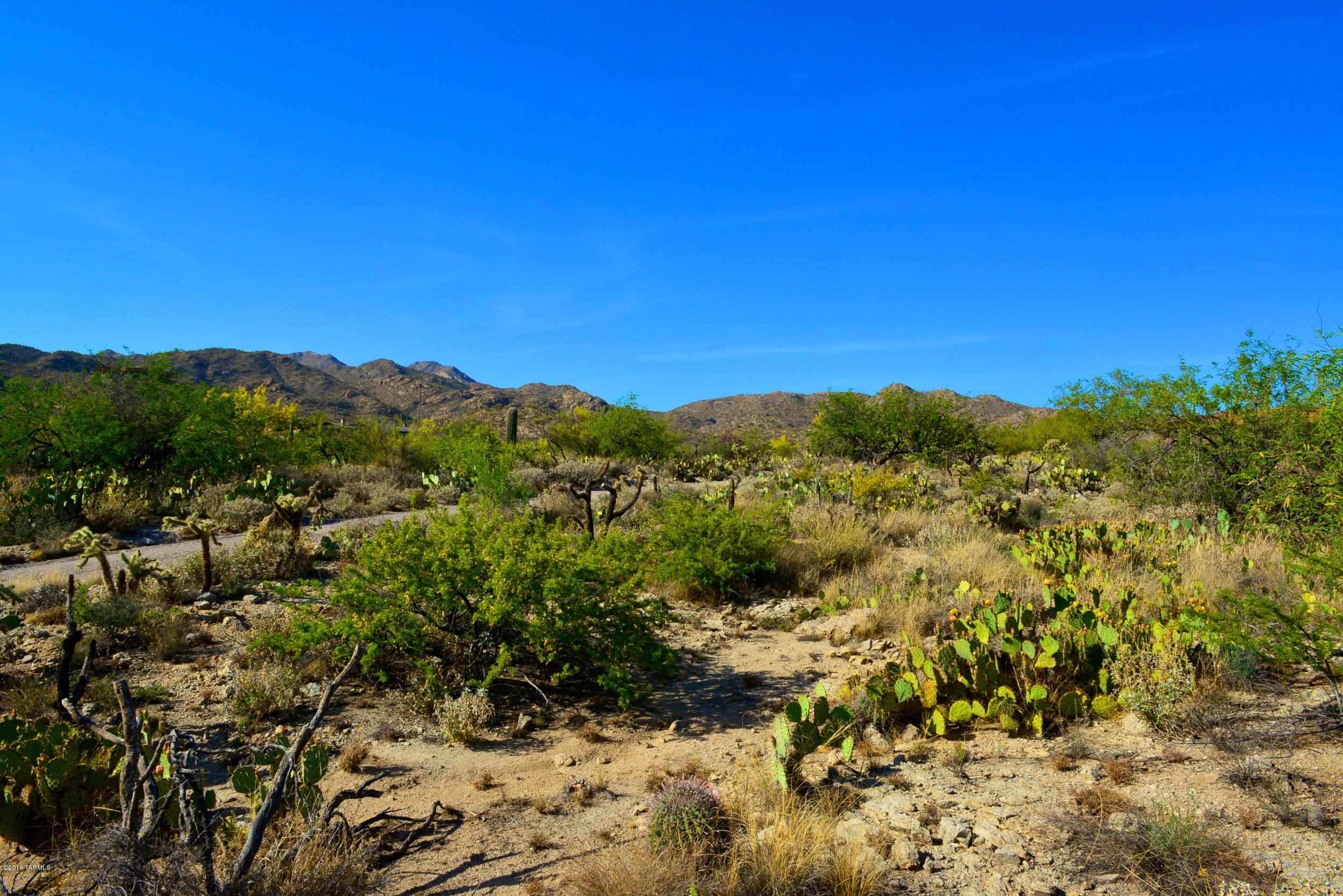 14145 N Hawkeye Drive Unit: 1