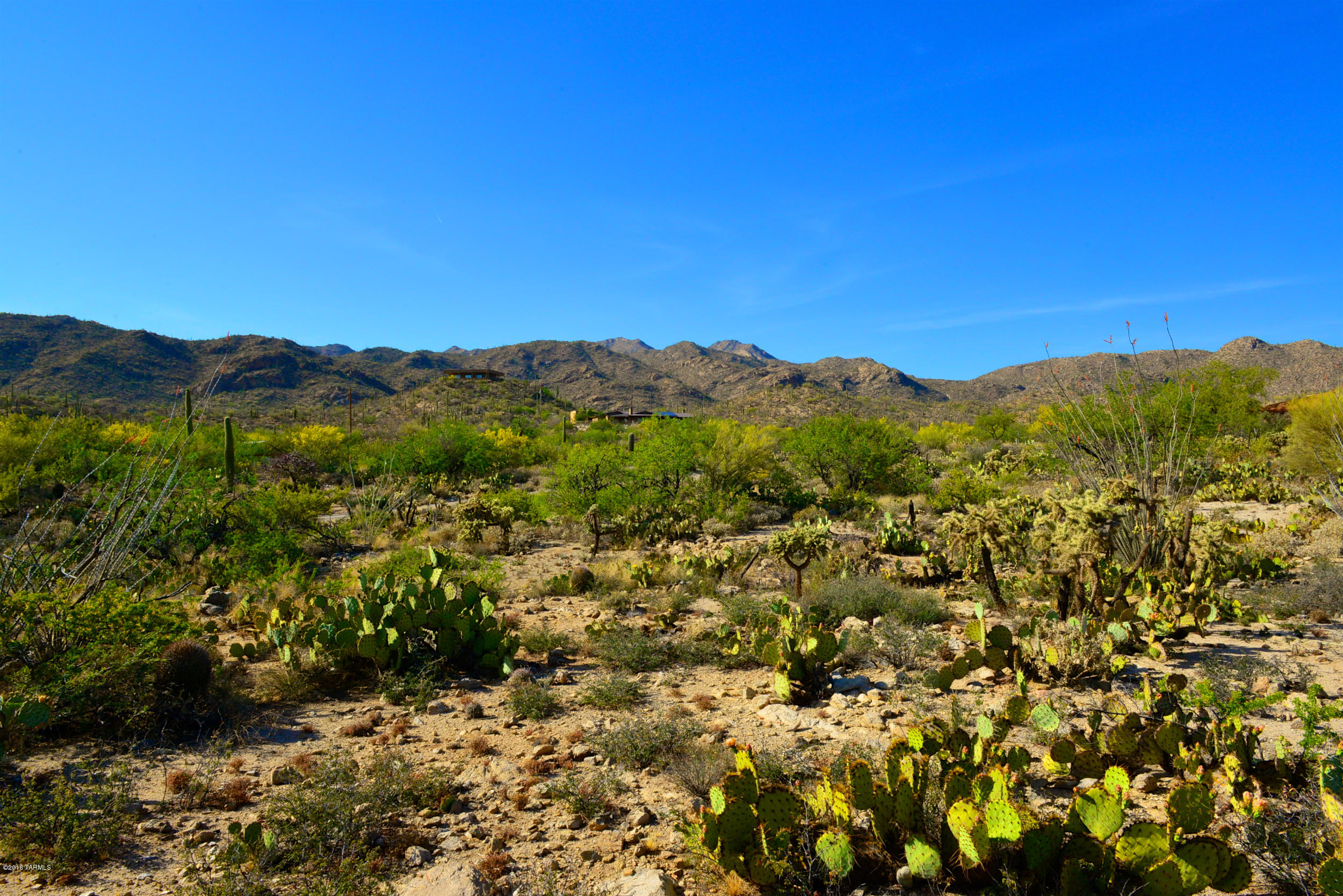 14145 N Hawkeye Drive Unit: 1