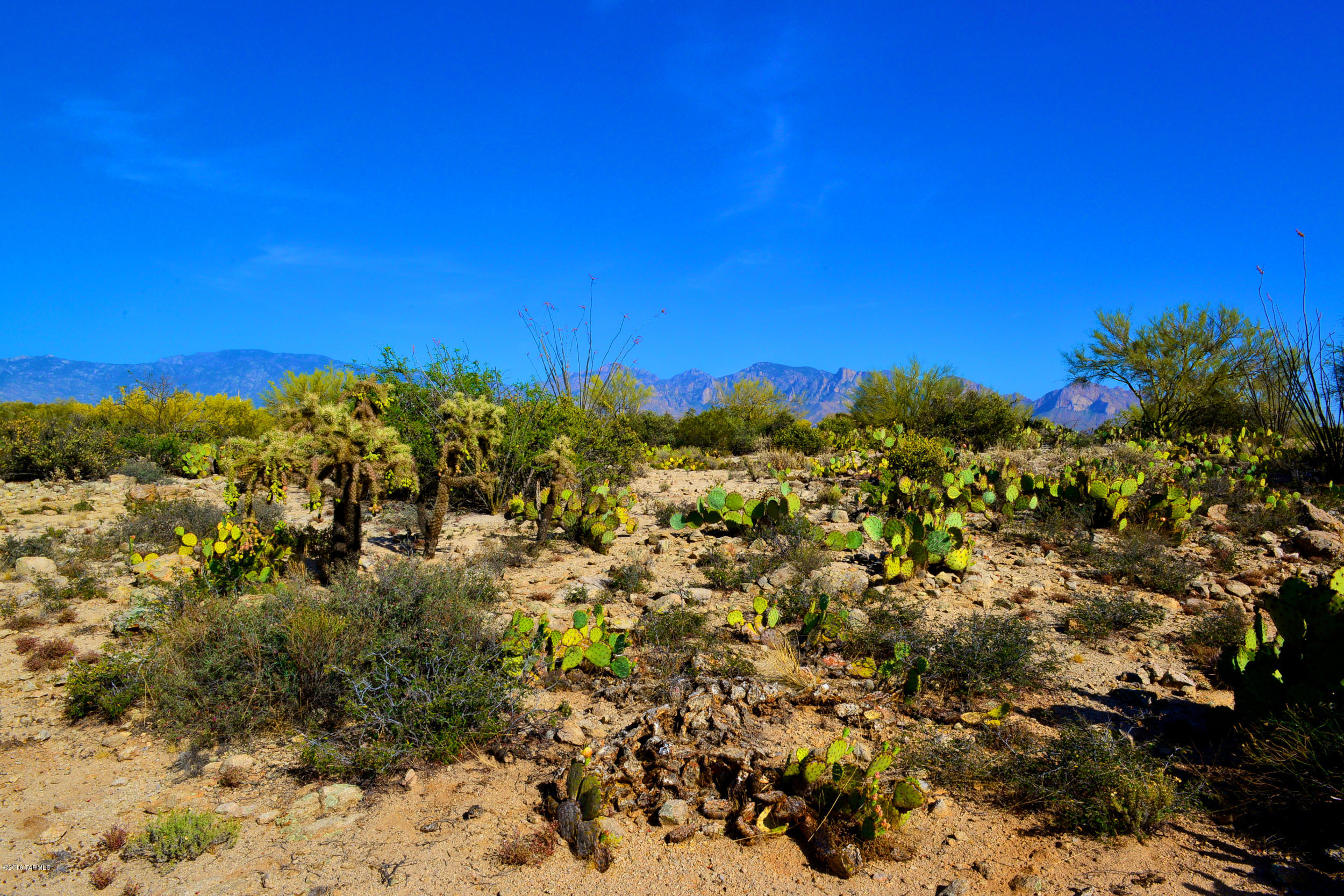 14145 N Hawkeye Drive Unit: 1