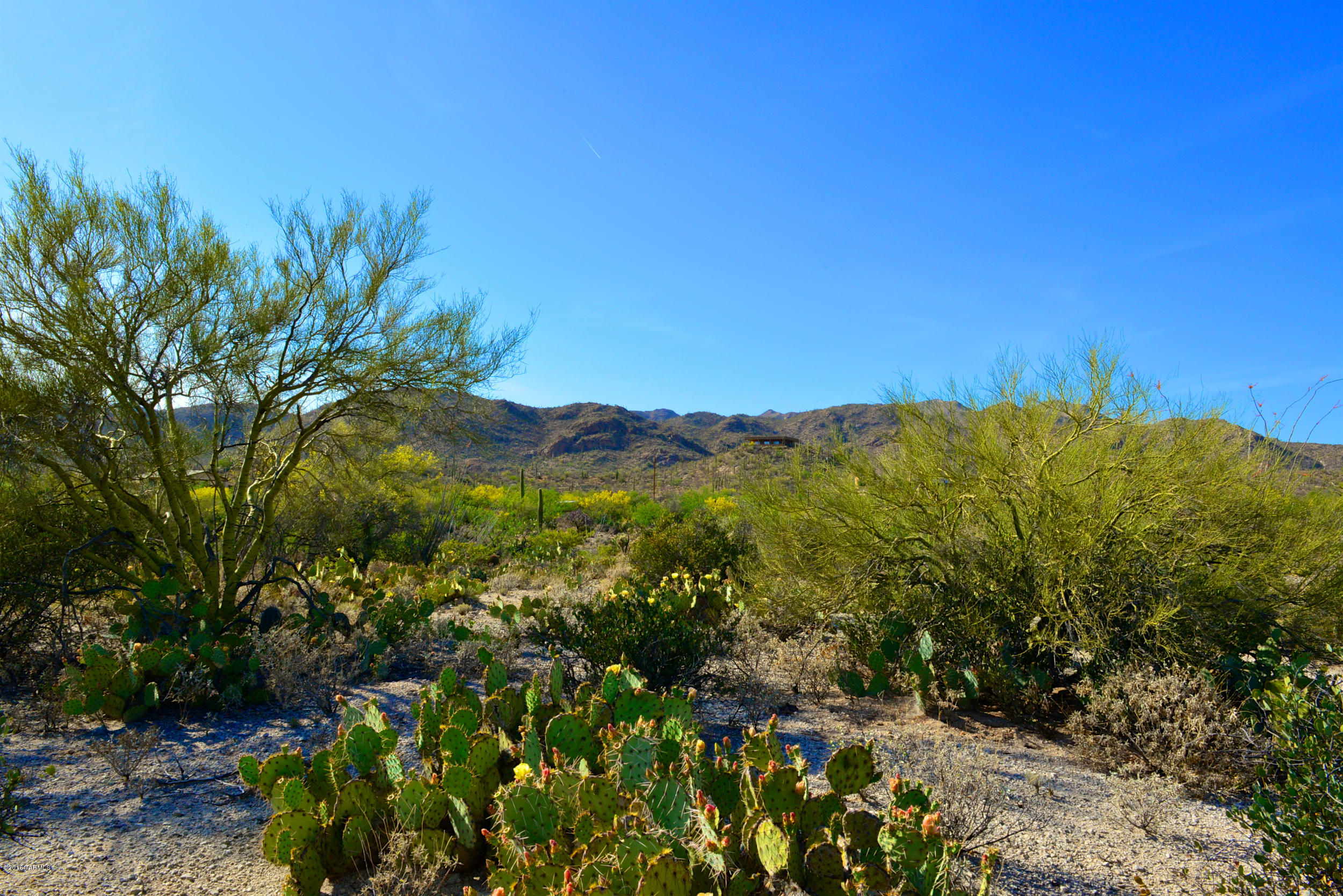 14145 N Hawkeye Drive Unit: 1