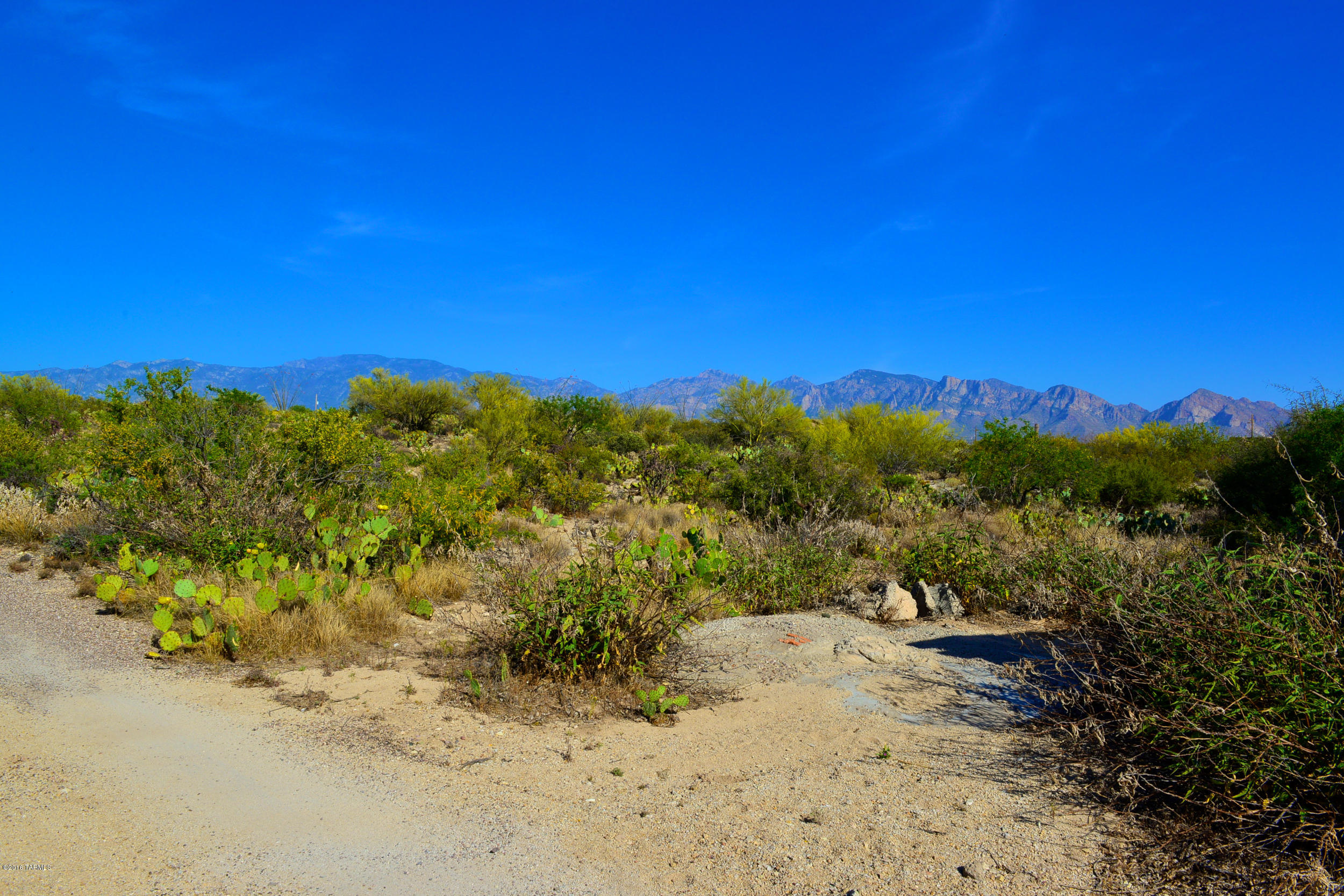 14145 N Hawkeye Drive Unit: 1