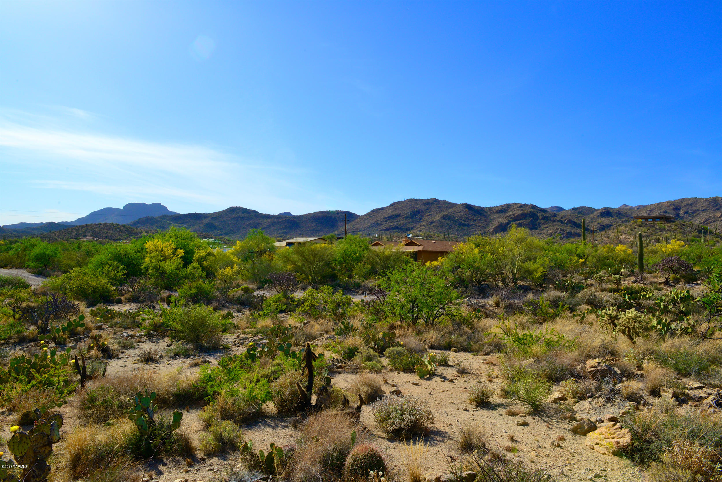 14145 N Hawkeye Drive Unit: 1