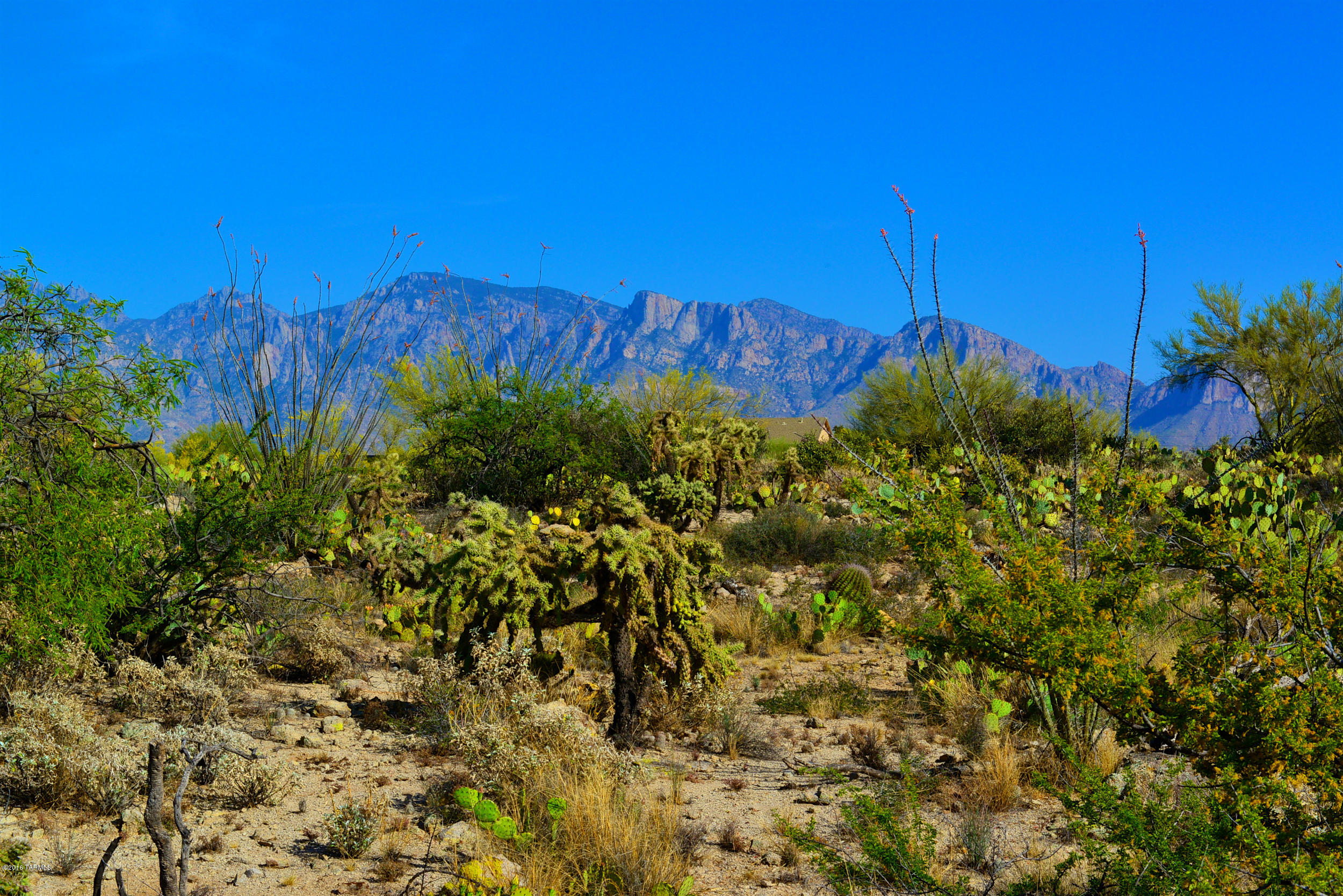 14145 N Hawkeye Drive Unit: 1