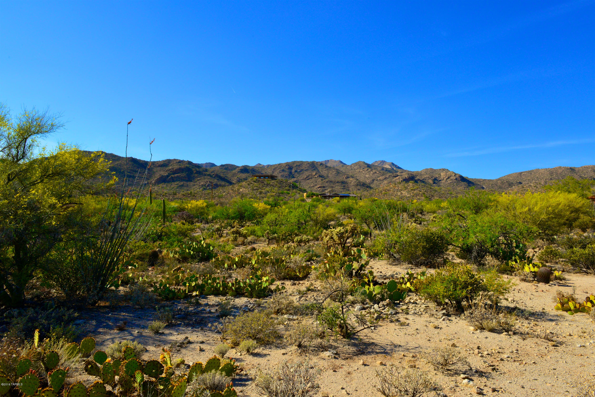 14145 N Hawkeye Drive Unit: 1