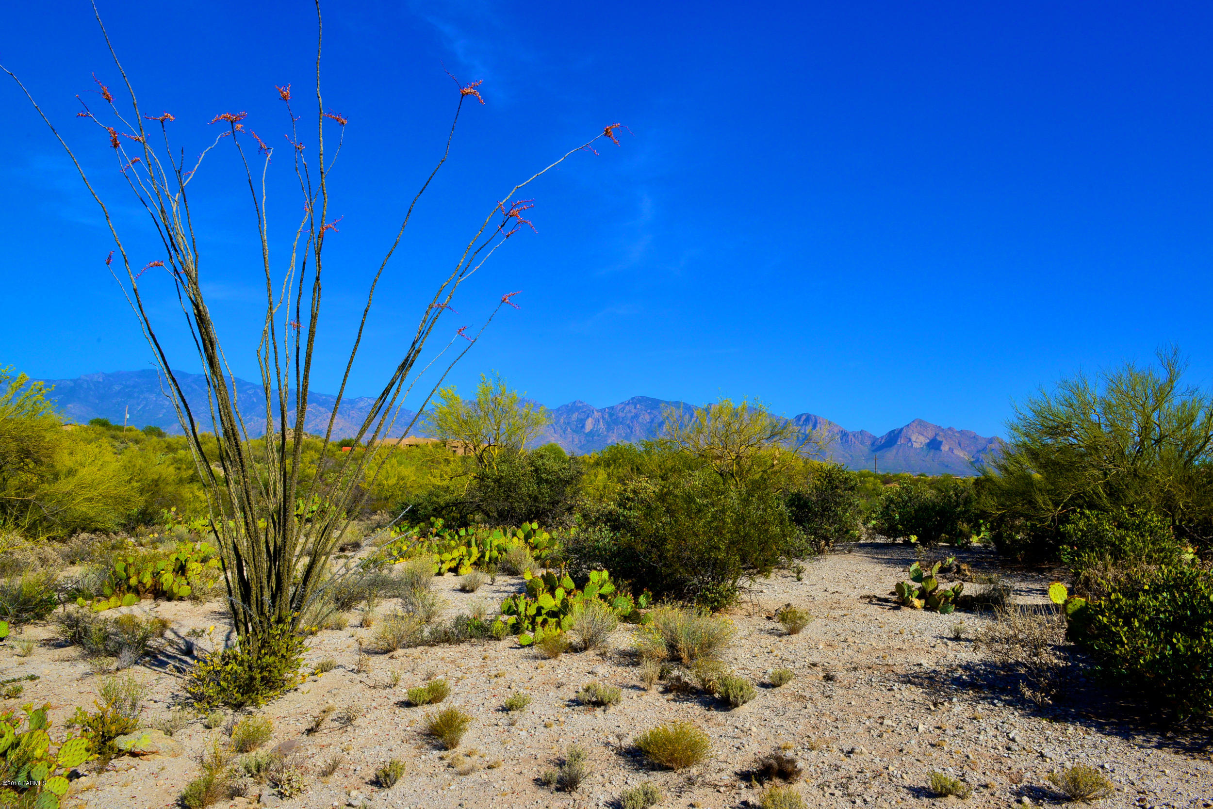 14145 N Hawkeye Drive Unit: 1