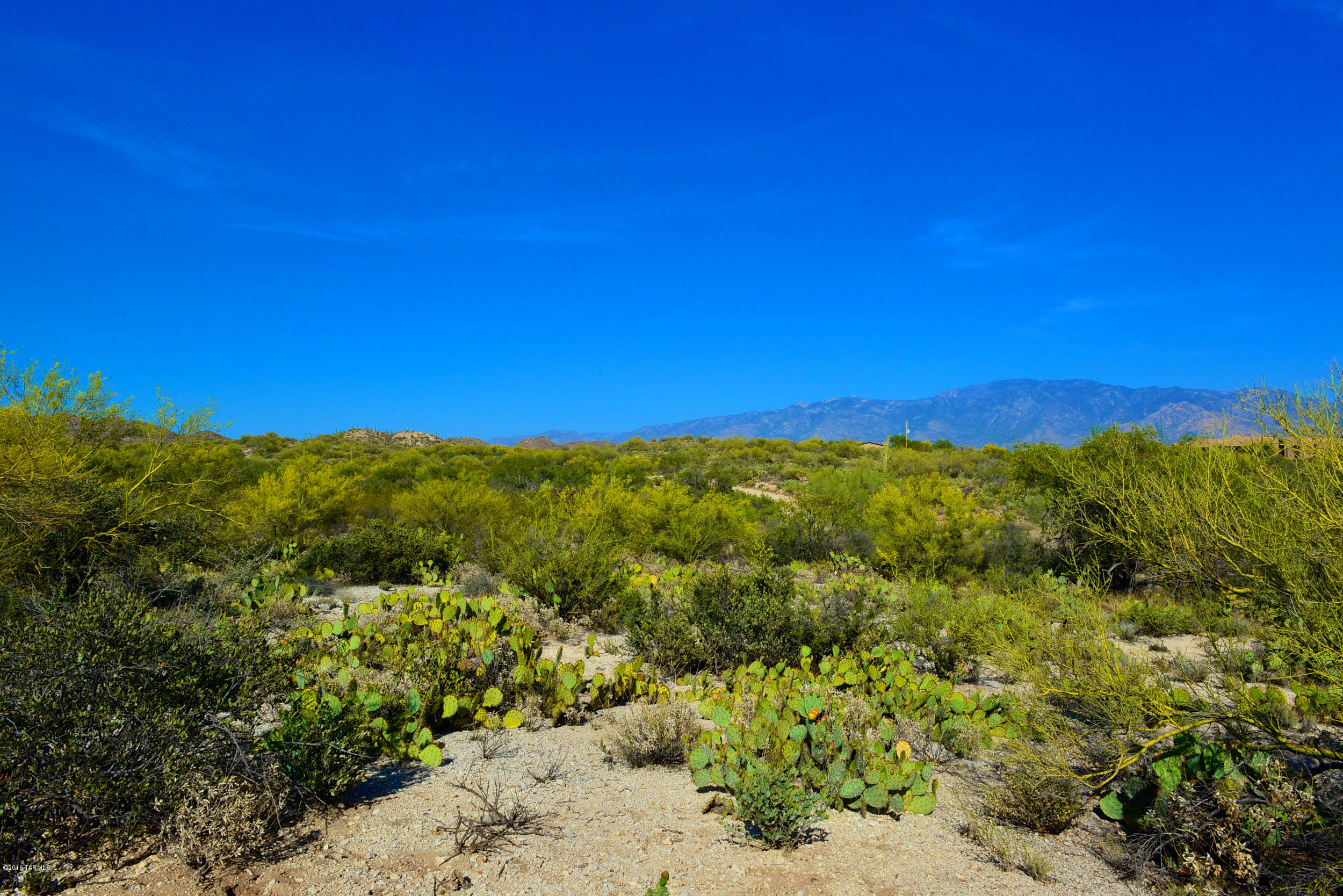 14145 N Hawkeye Drive Unit: 1