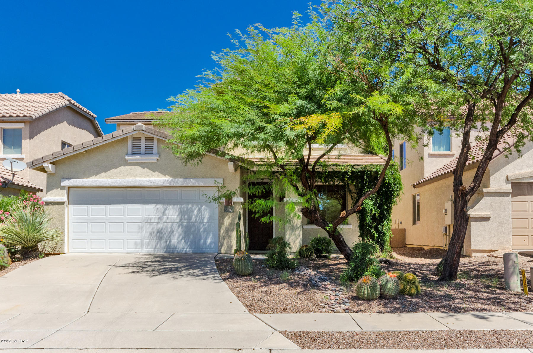 996 W Thornbush Place