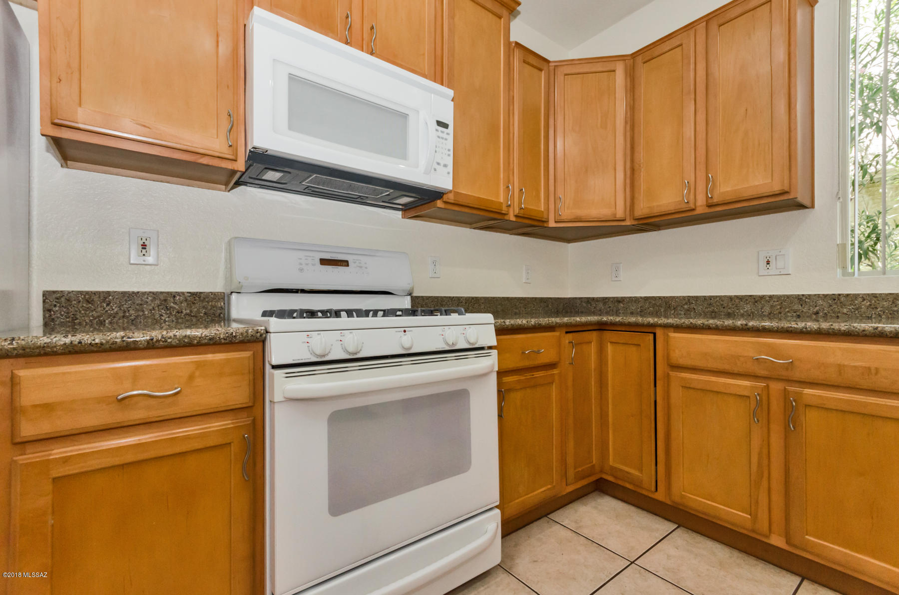 996 W Thornbush Place