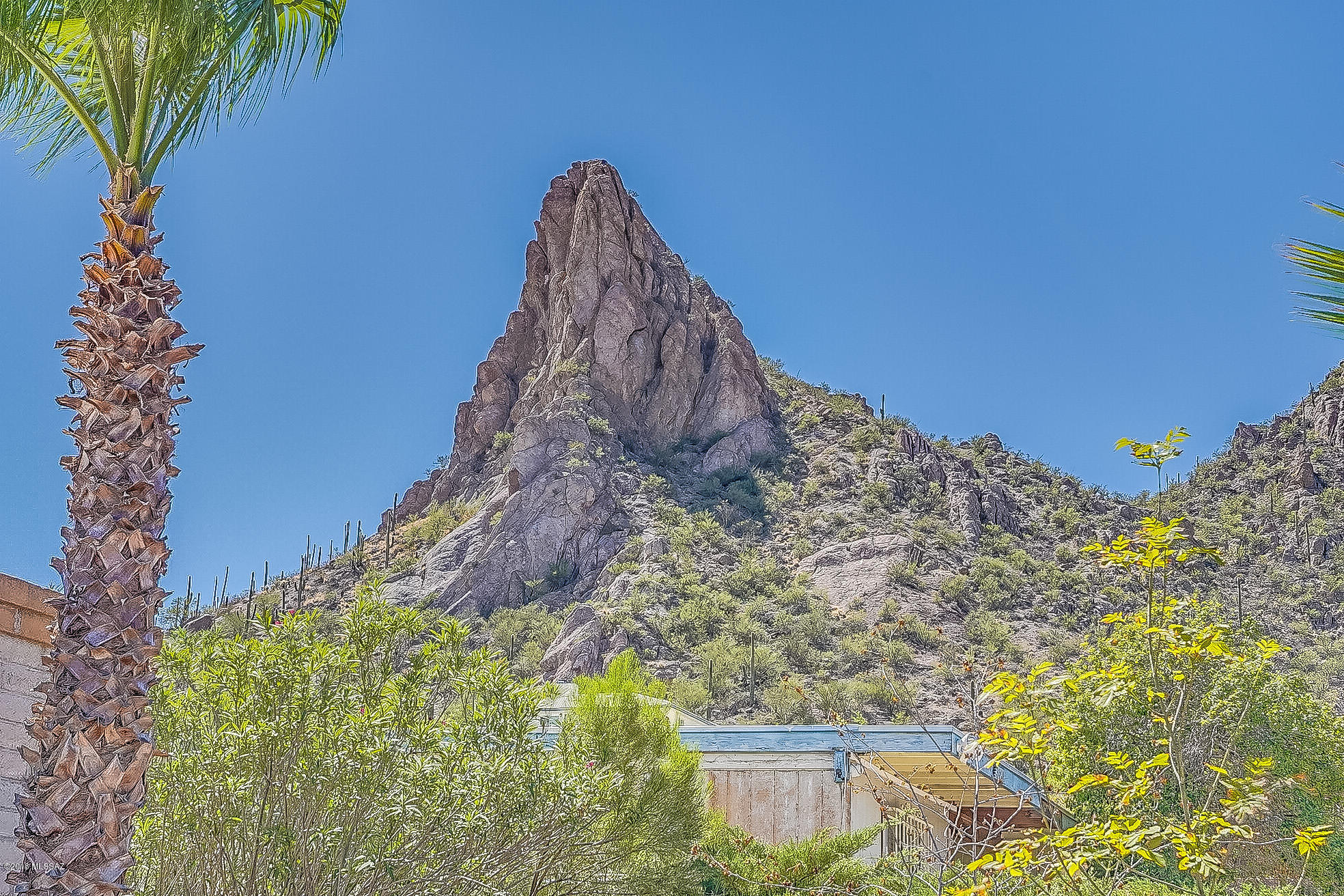 3211 W Union Jack Street