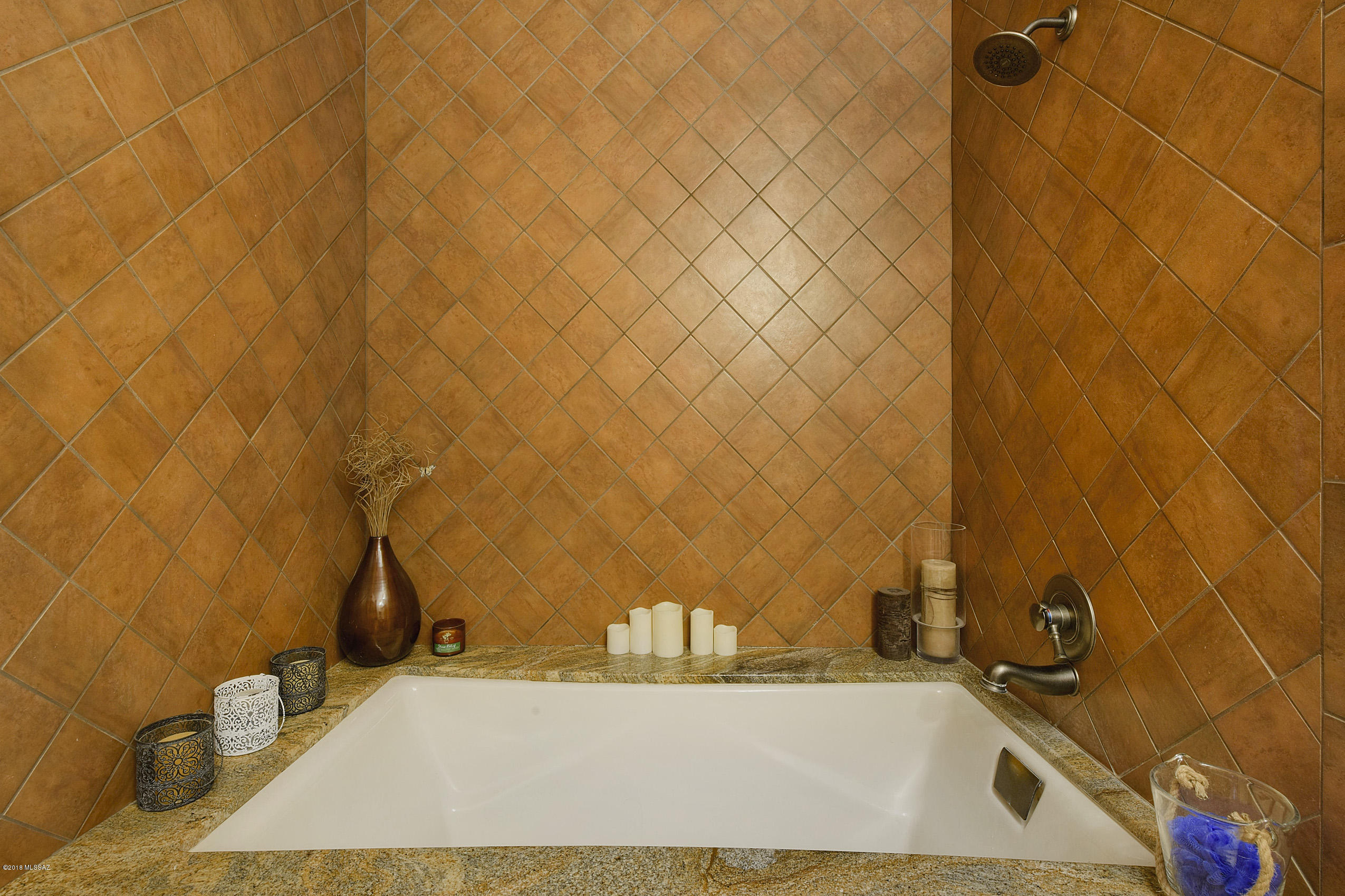 8620 N Mesquite Oasis Road