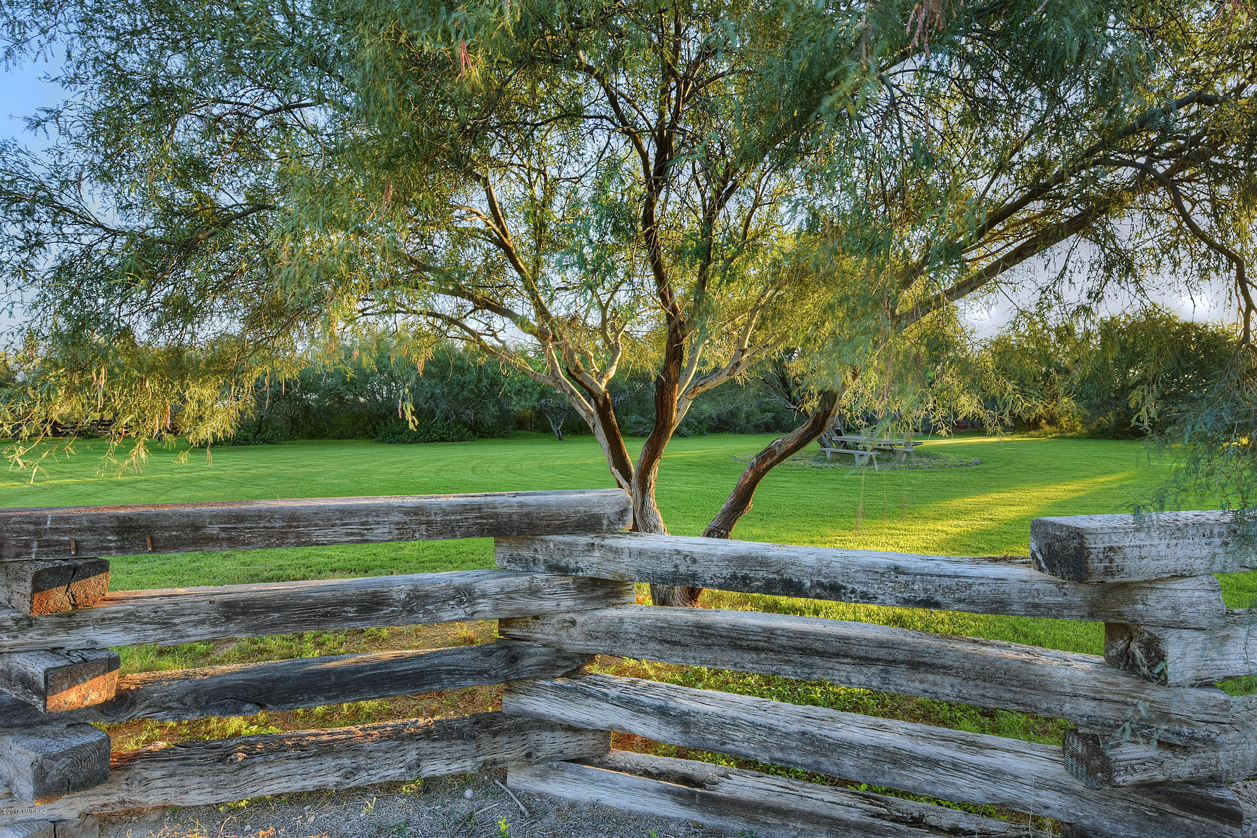 8620 N Mesquite Oasis Road