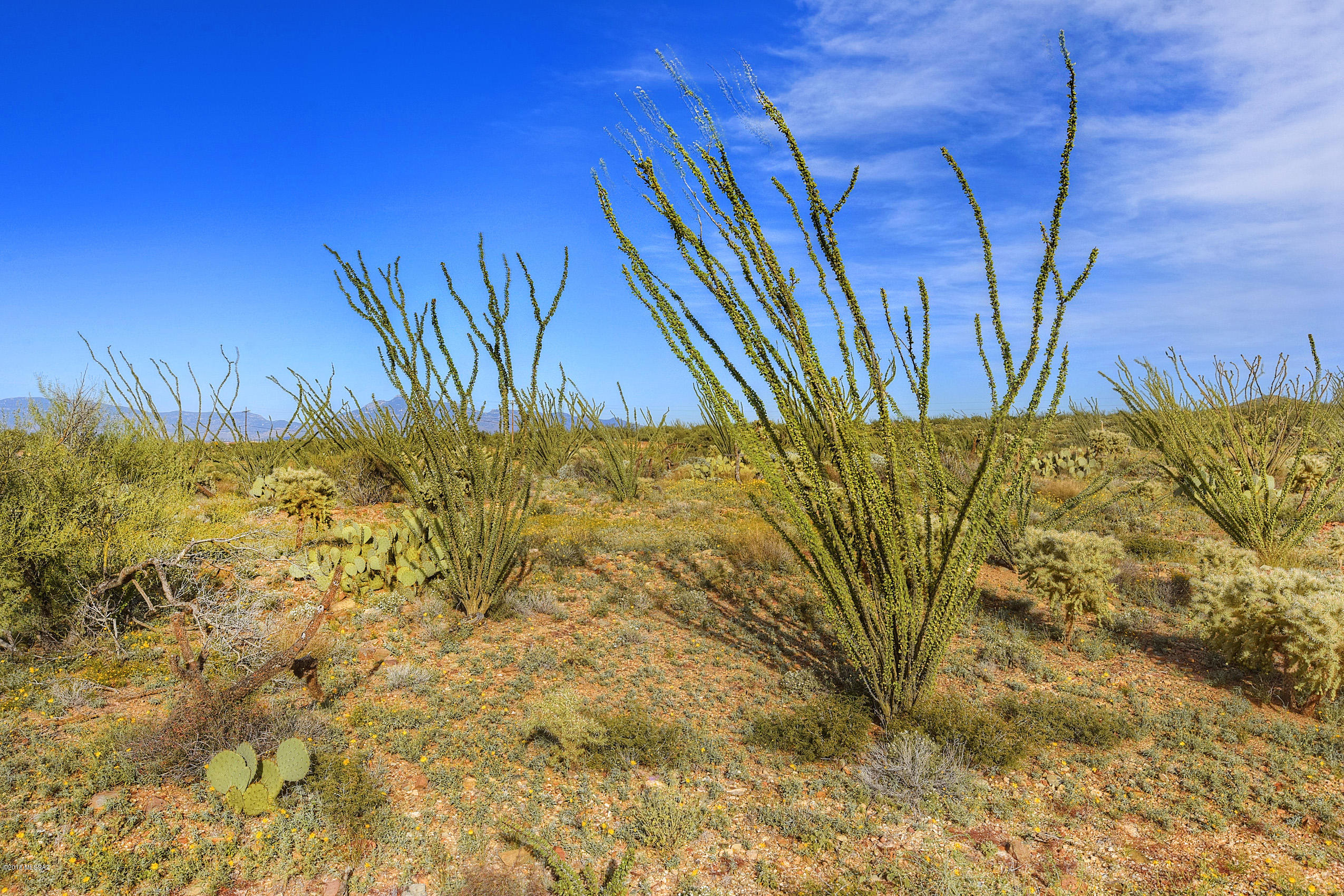 1069 S Garfield Place Unit: 45