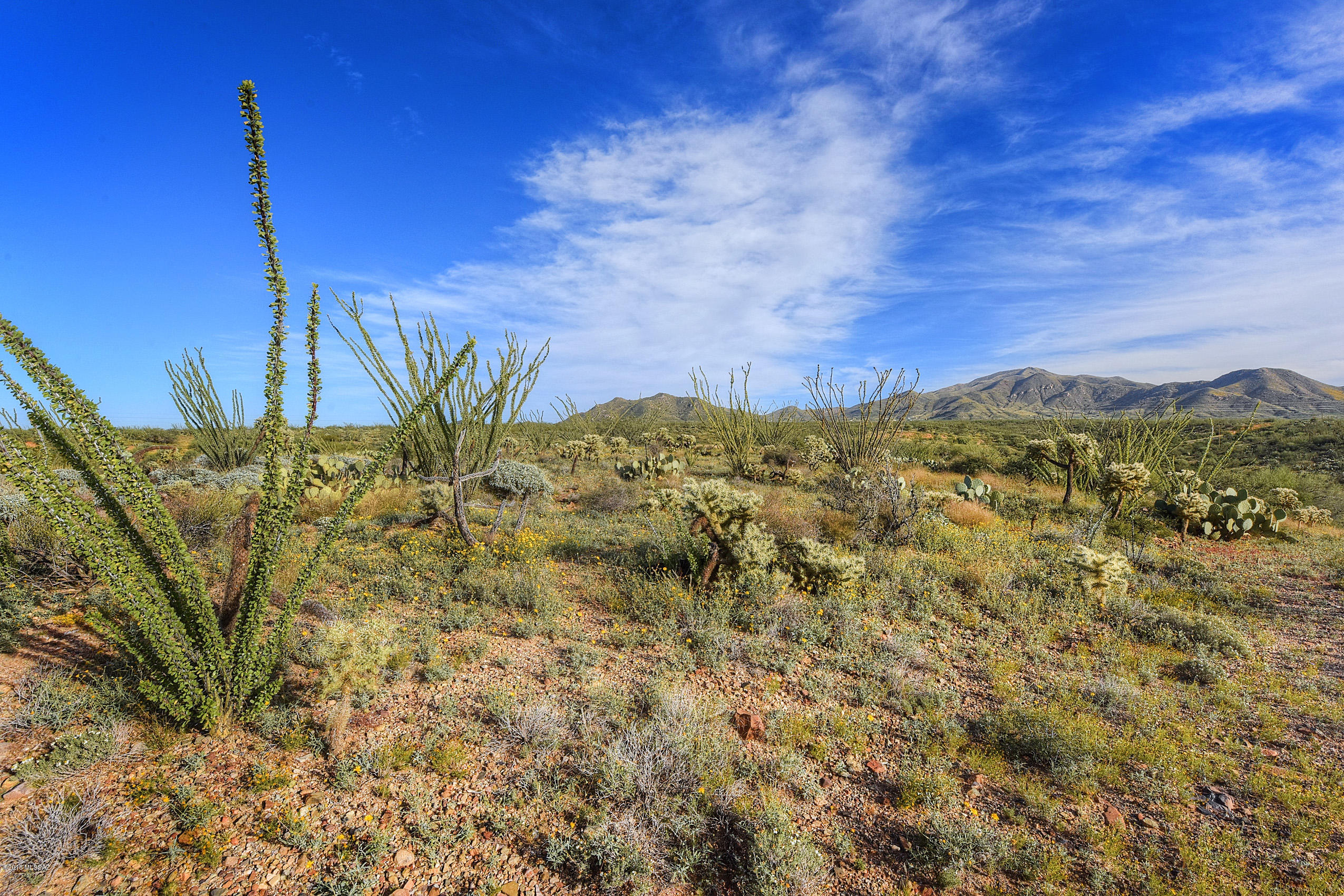 1083 S Garfield Place Unit: 46