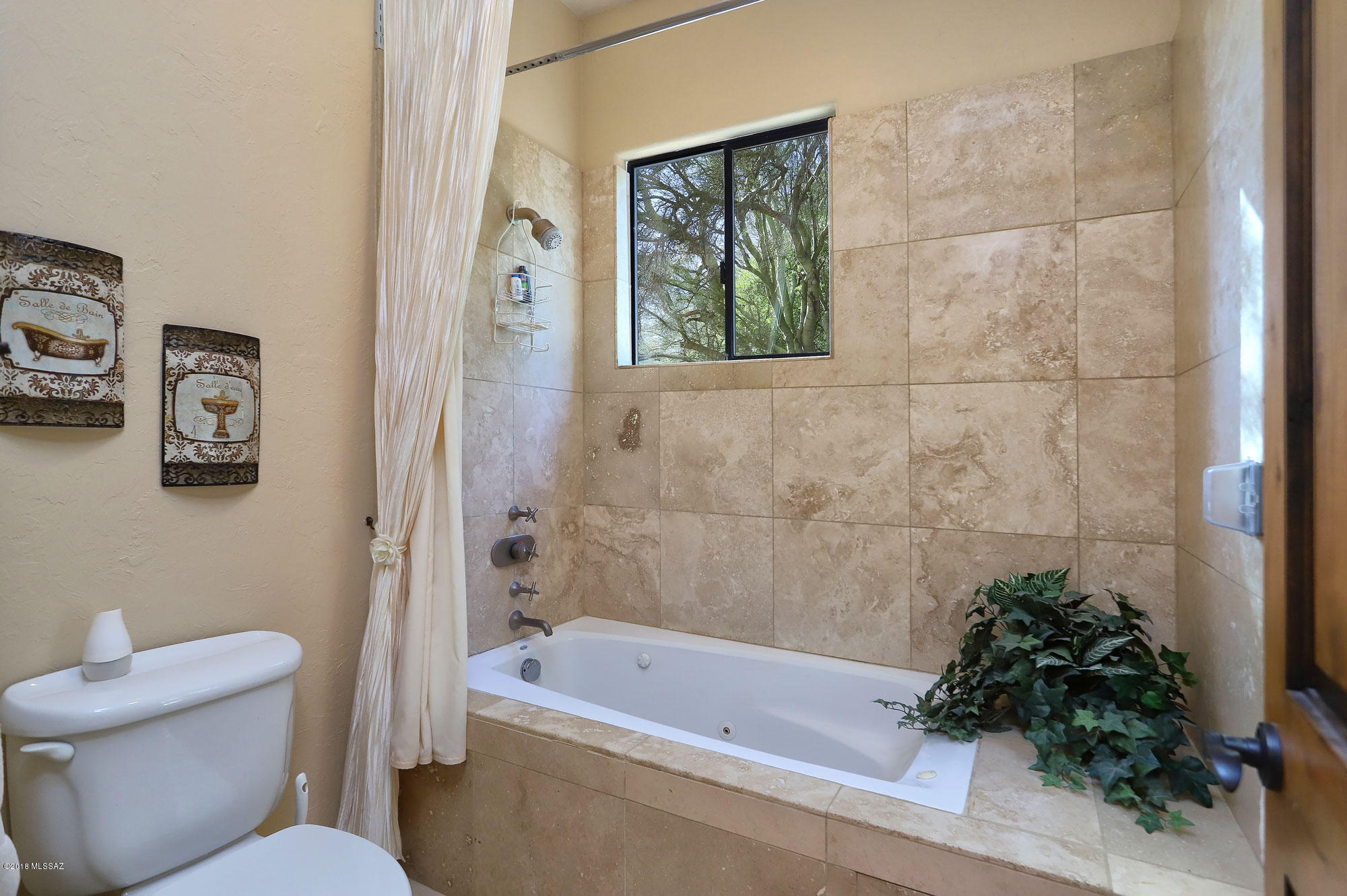 12232 N Cloud Ridge Drive