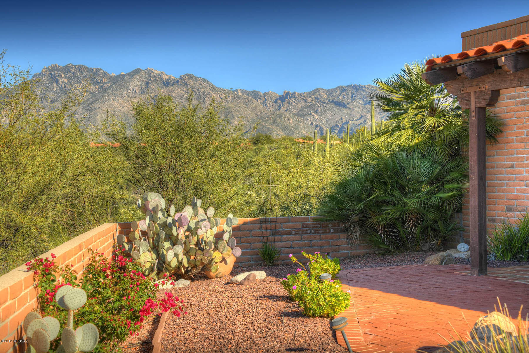 4251 N Camino Ferreo