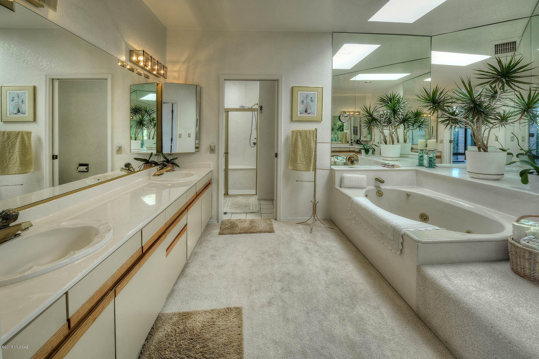 4251 N Camino Ferreo