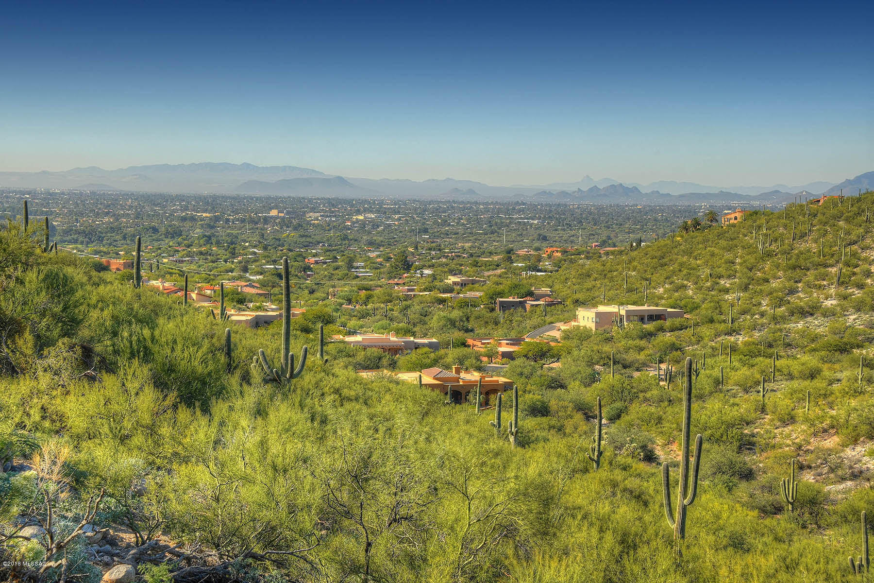 4251 N Camino Ferreo