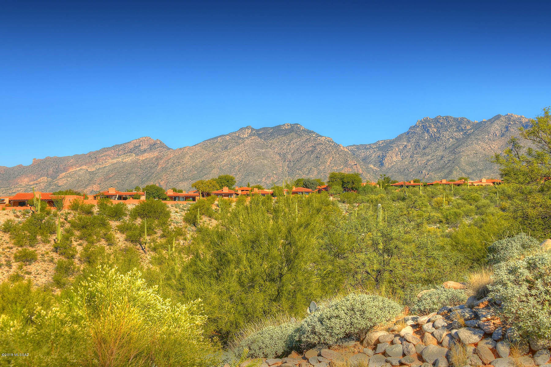 4251 N Camino Ferreo