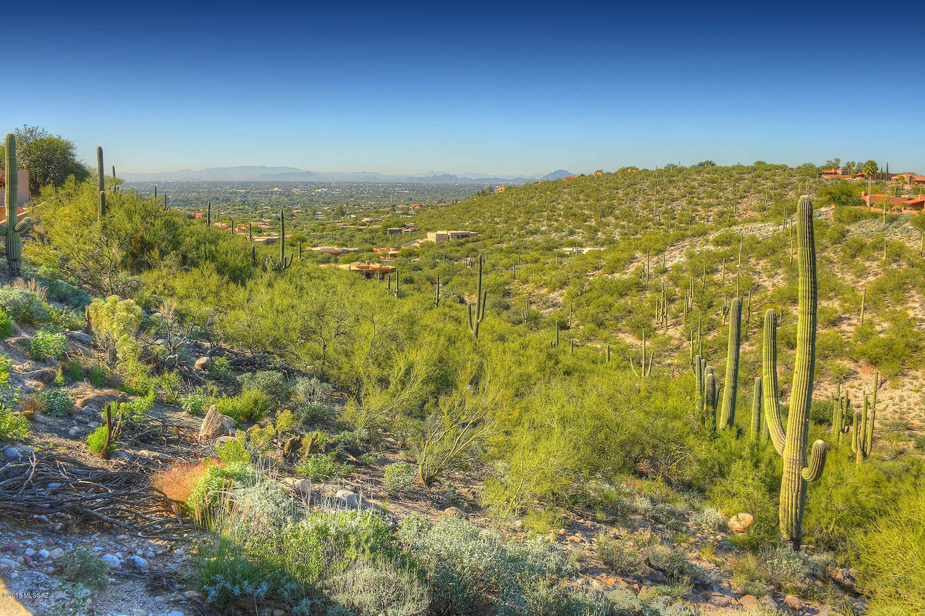 4251 N Camino Ferreo