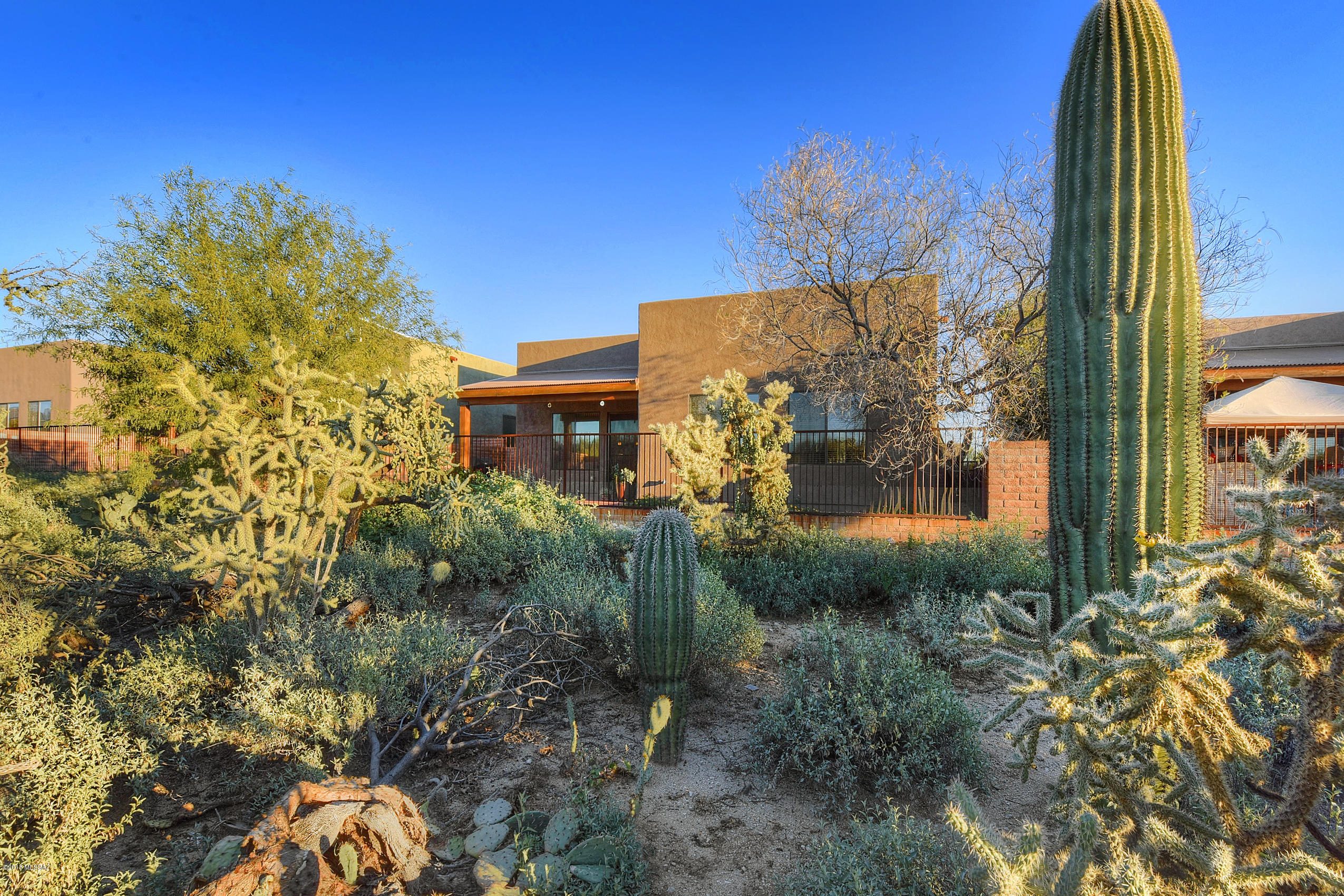 11439 N Moon Ranch Place