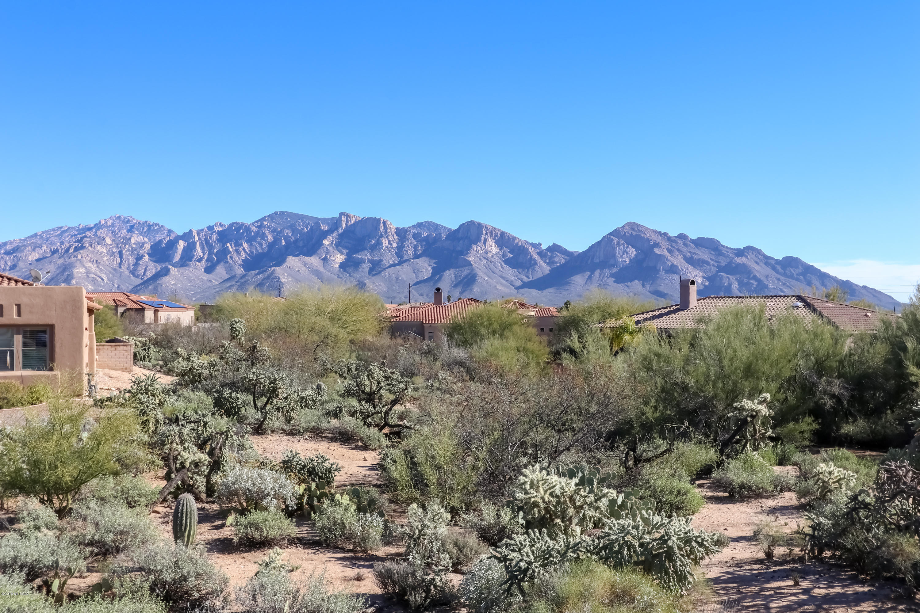 12069 N Washbed Drive