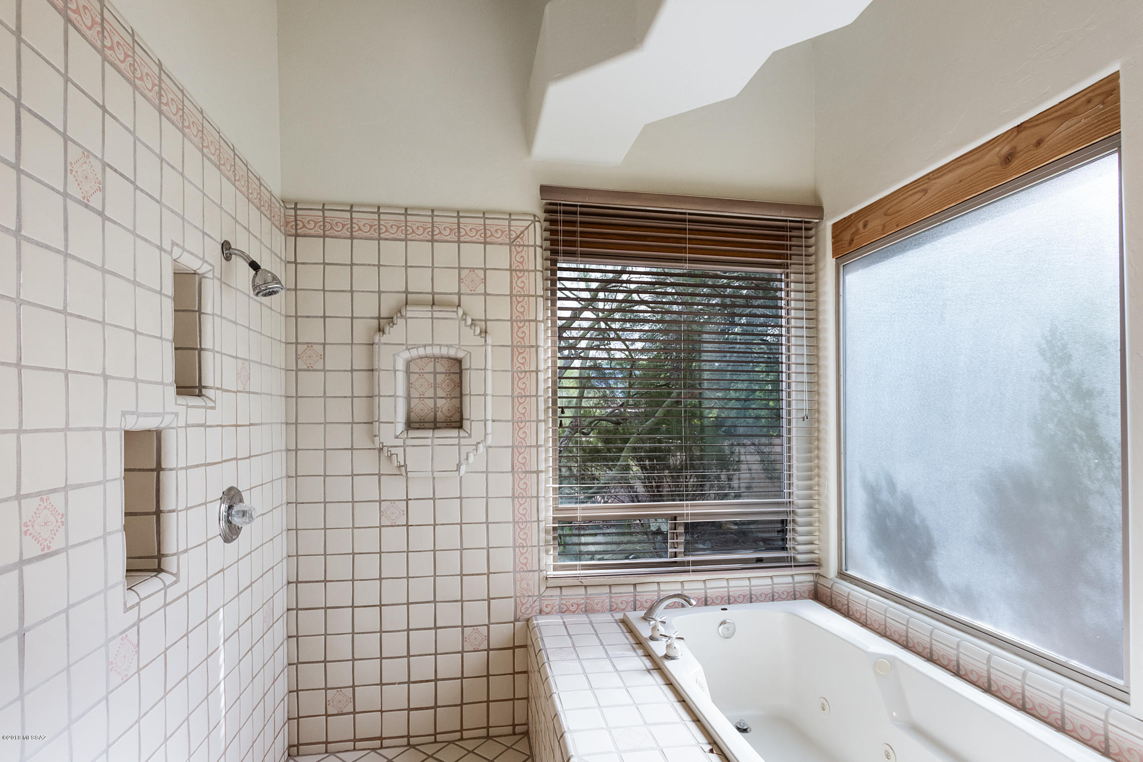 11534 N Ironwood Canyon Place