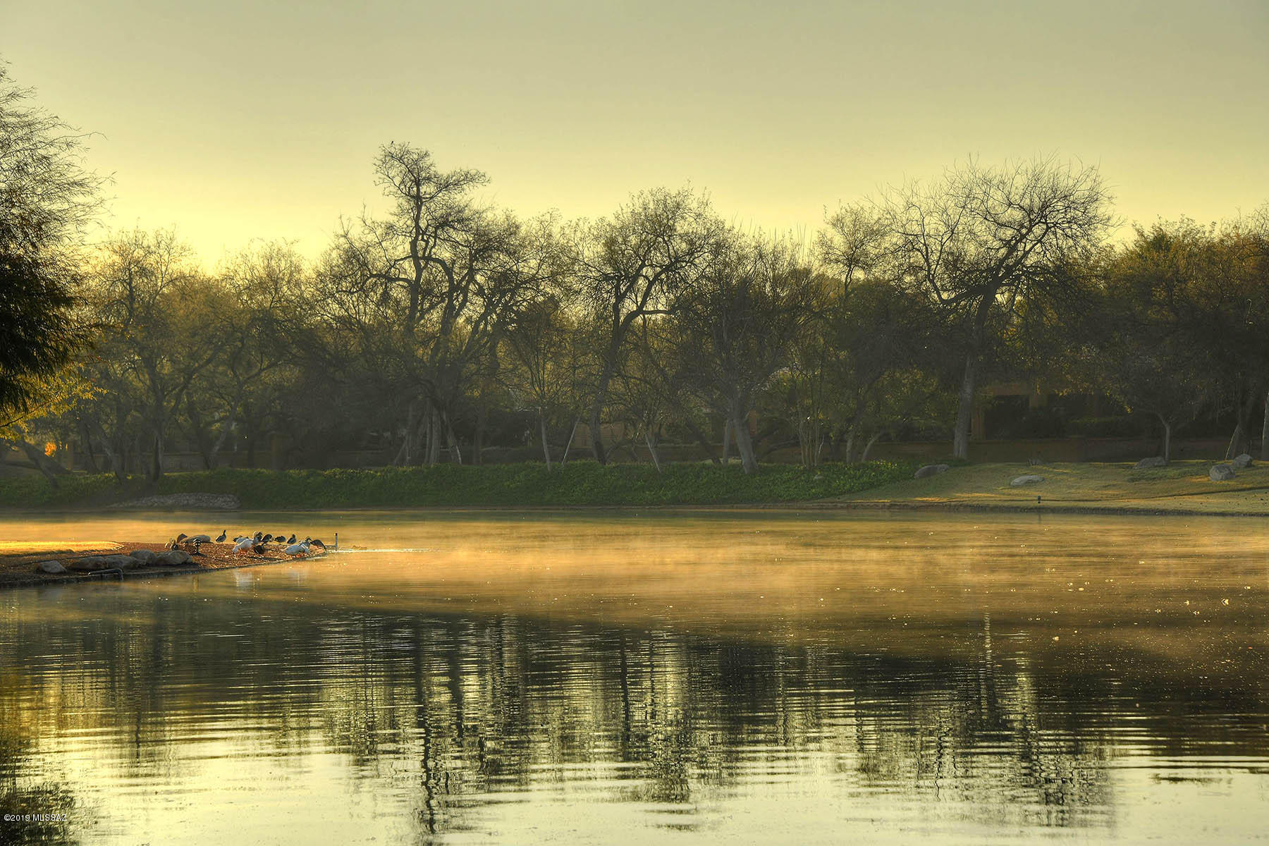 3165 N Willow Creek Drive