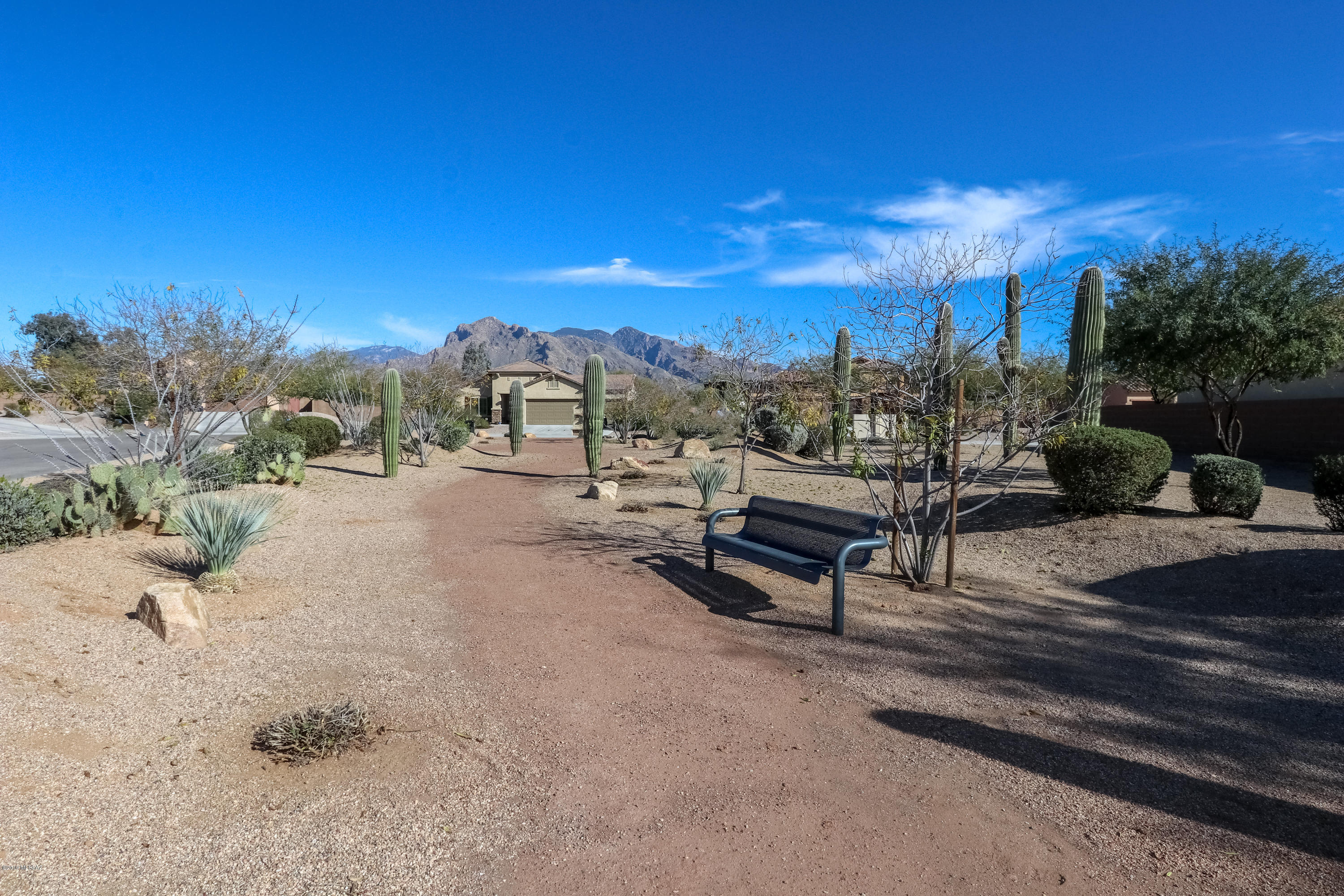 8158 N Circulo El Palmito