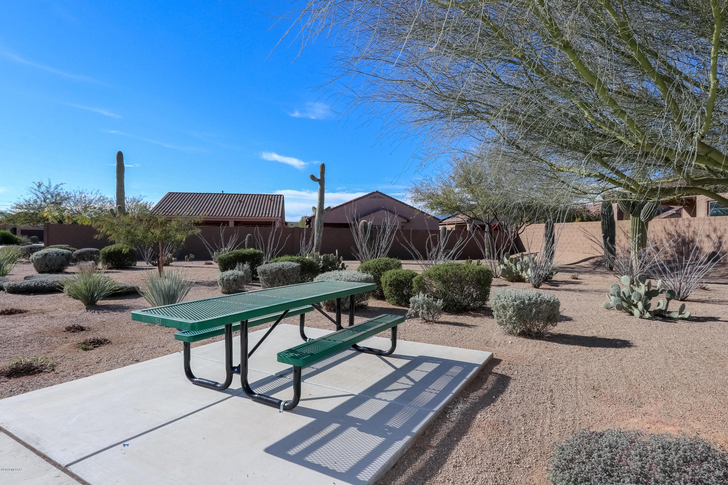 8158 N Circulo El Palmito