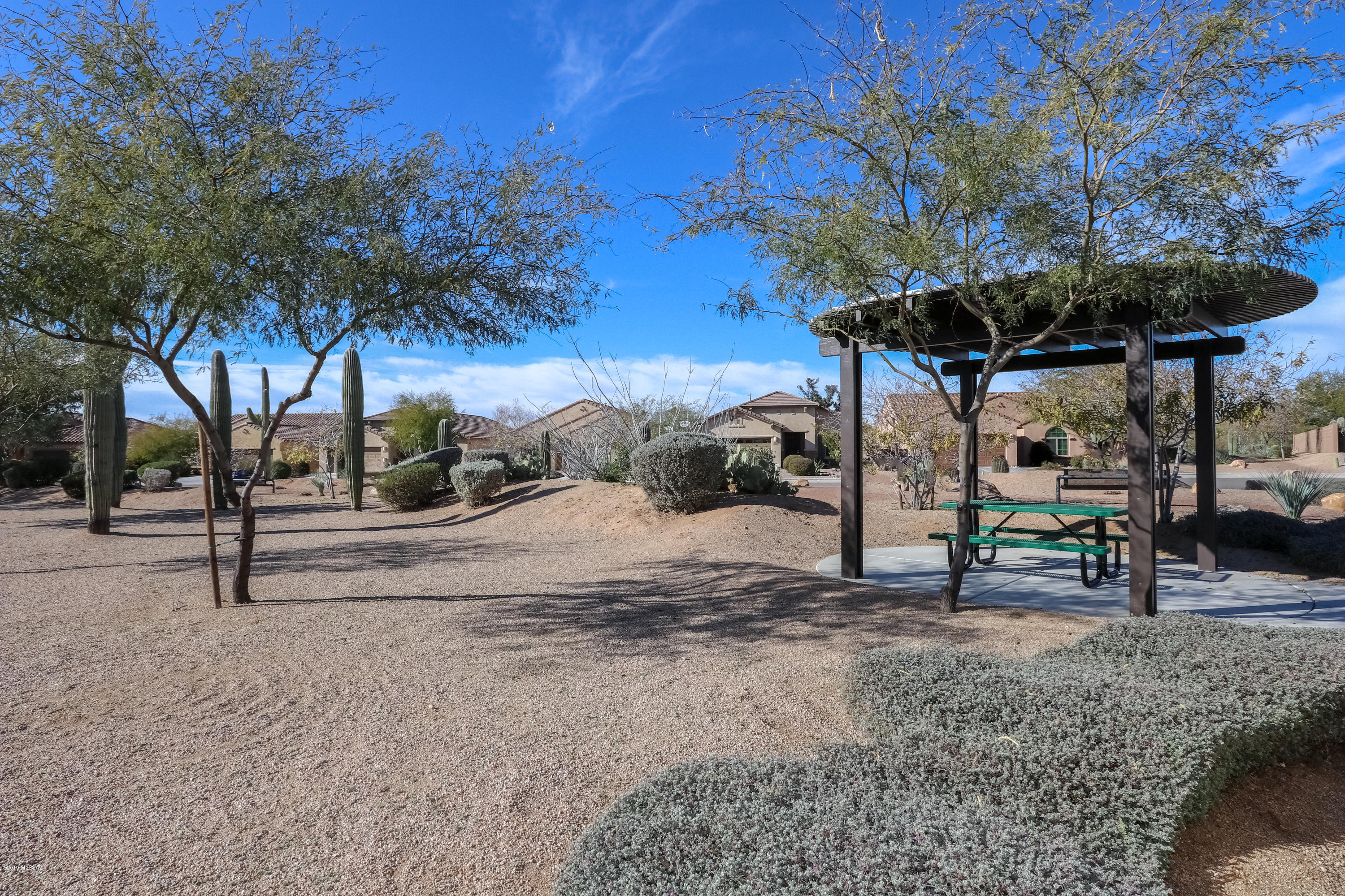 8158 N Circulo El Palmito