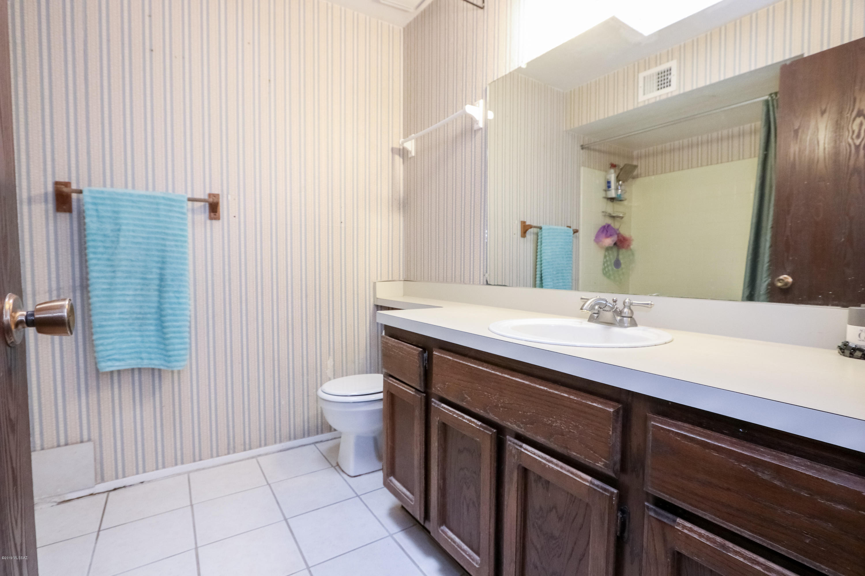 10001 N Placita Papalote