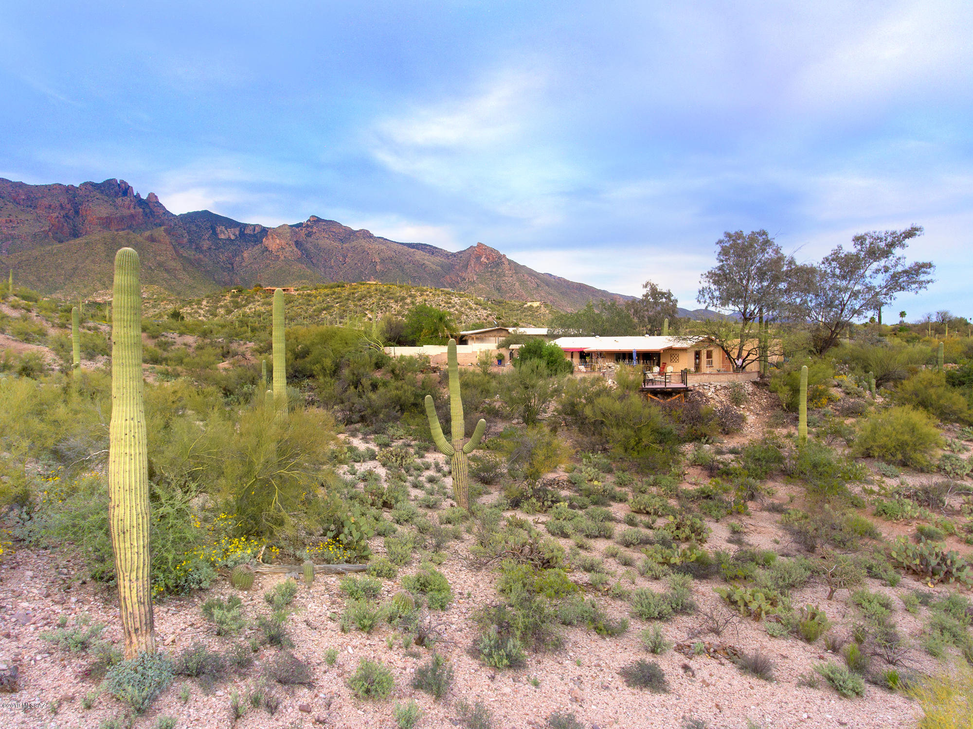 3307 E Ventana Canyon Drive