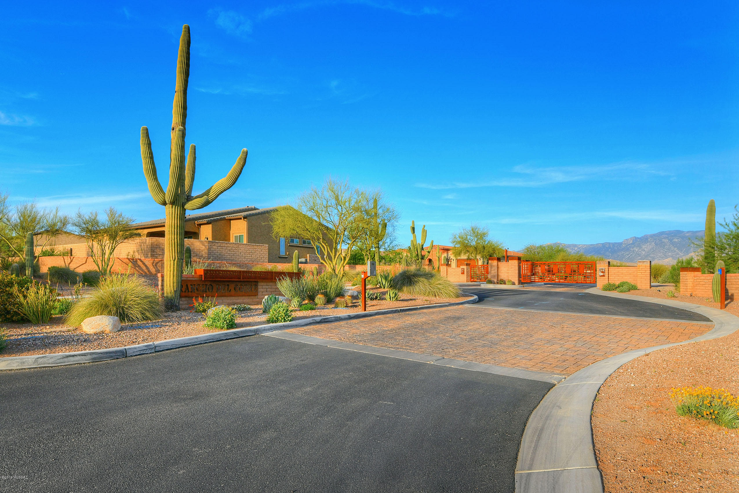 11777 N Palawan Place