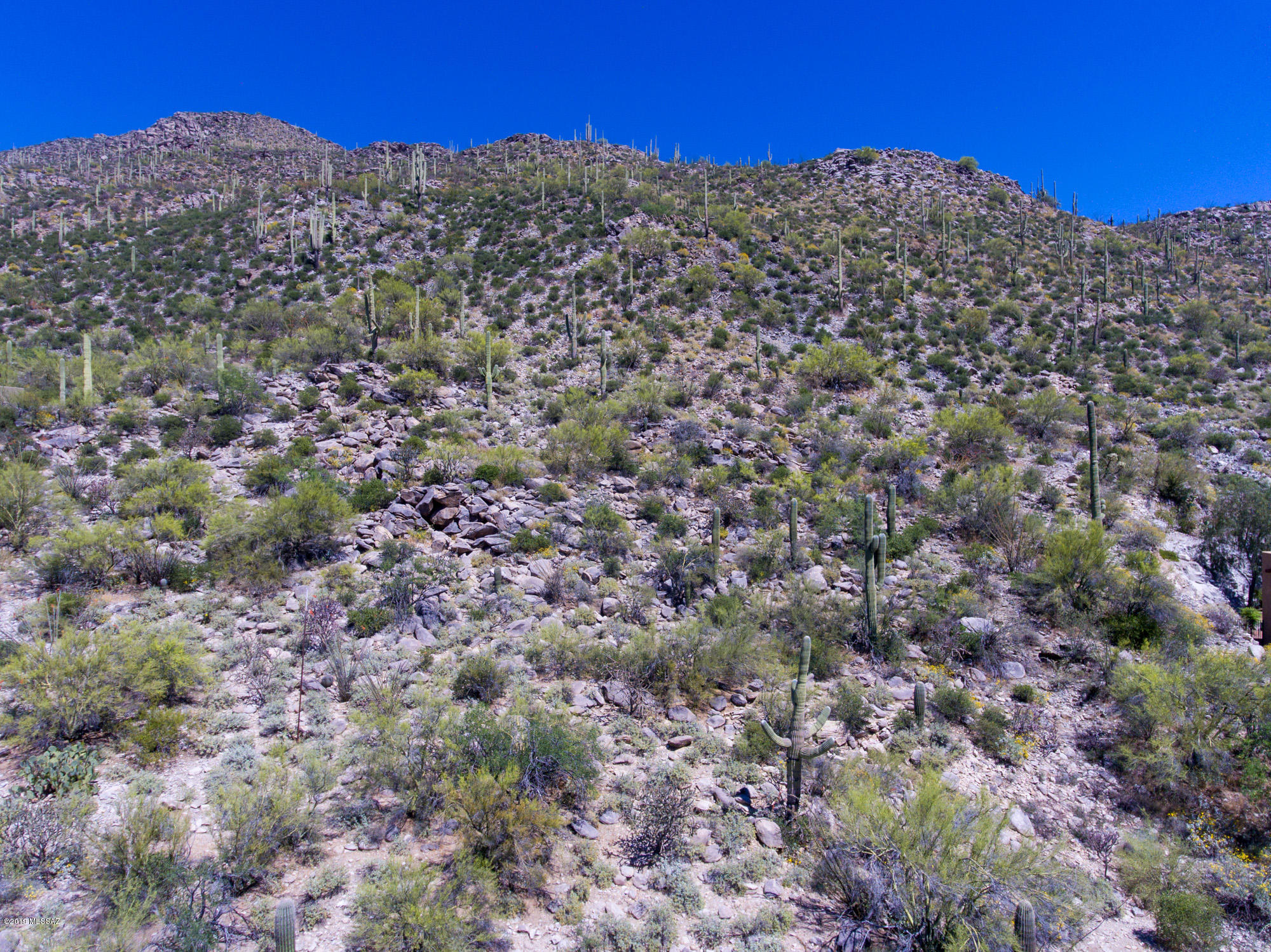 14338 N Dove Canyon Unit: 32