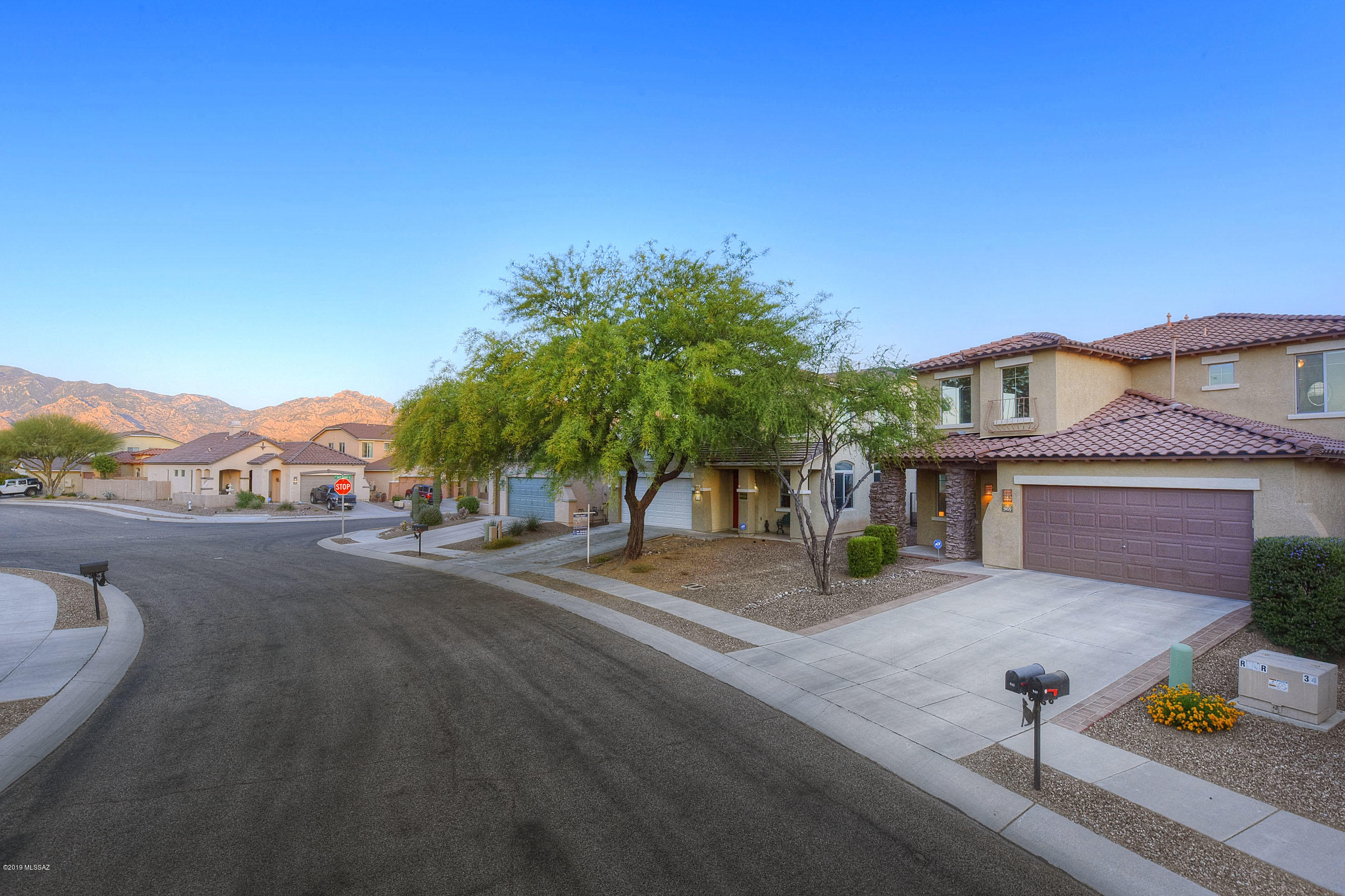 965 W Cork Oak Place