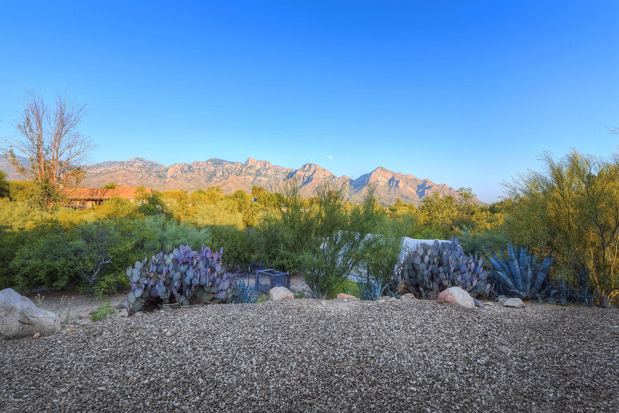 11832 N Mandarin Lane