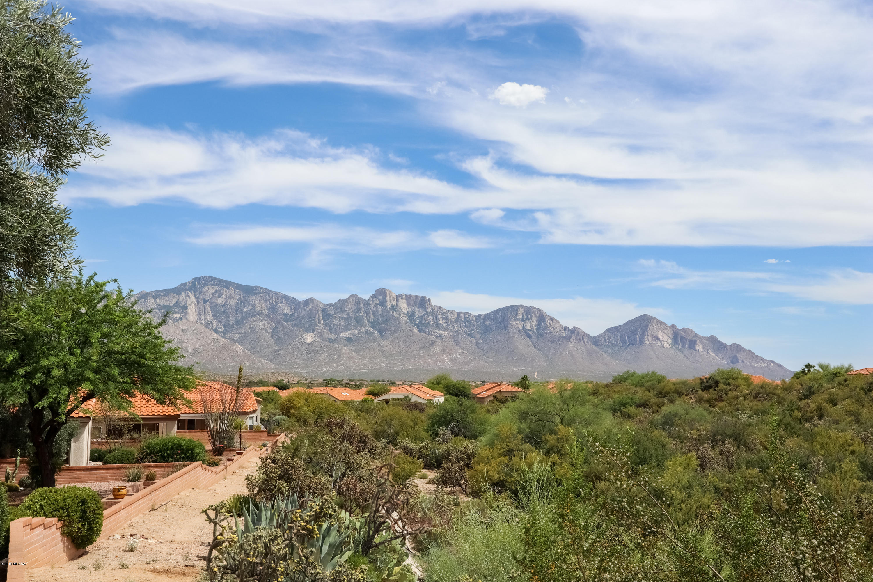 2116 E Ruellia Drive