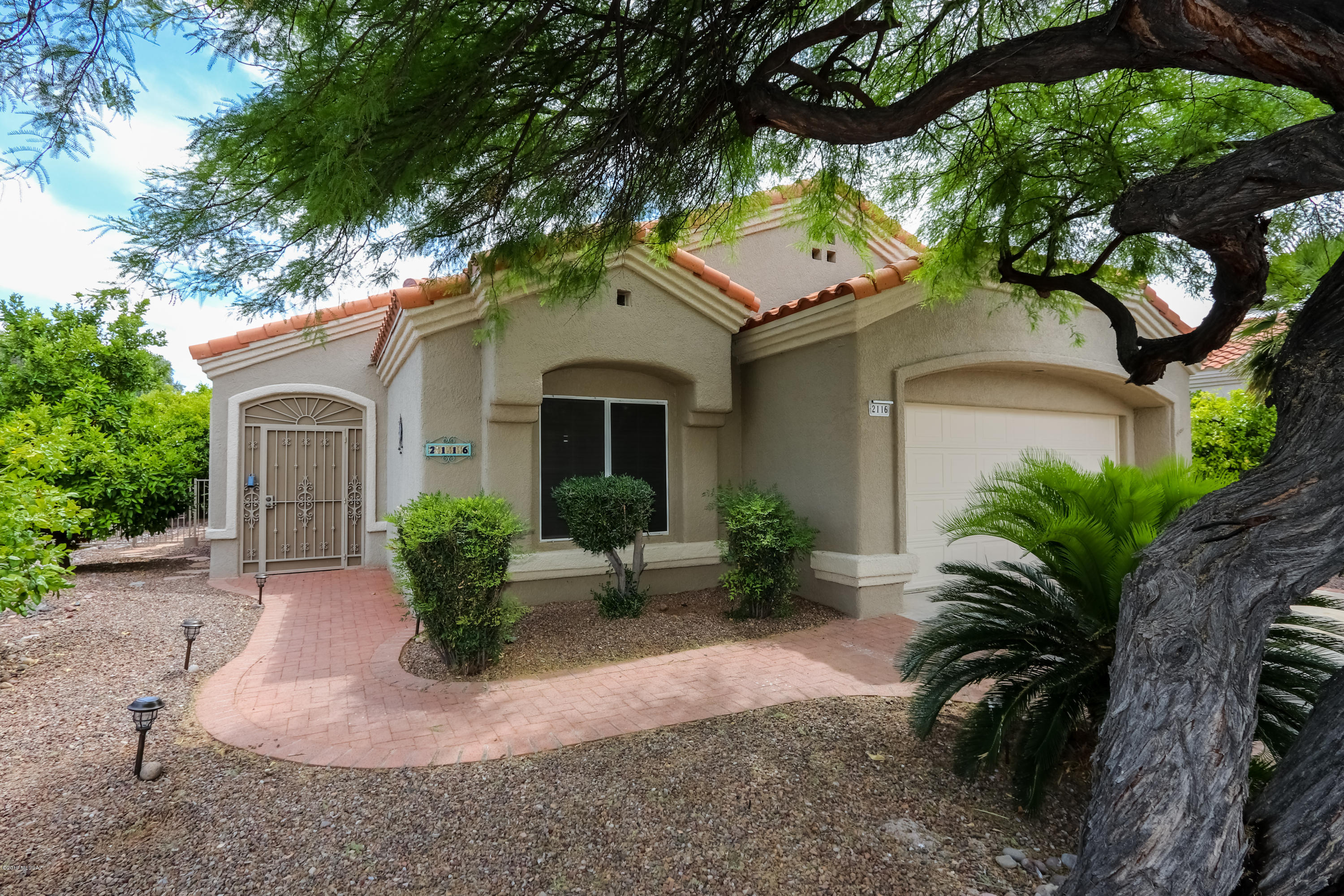 2116 E Ruellia Drive