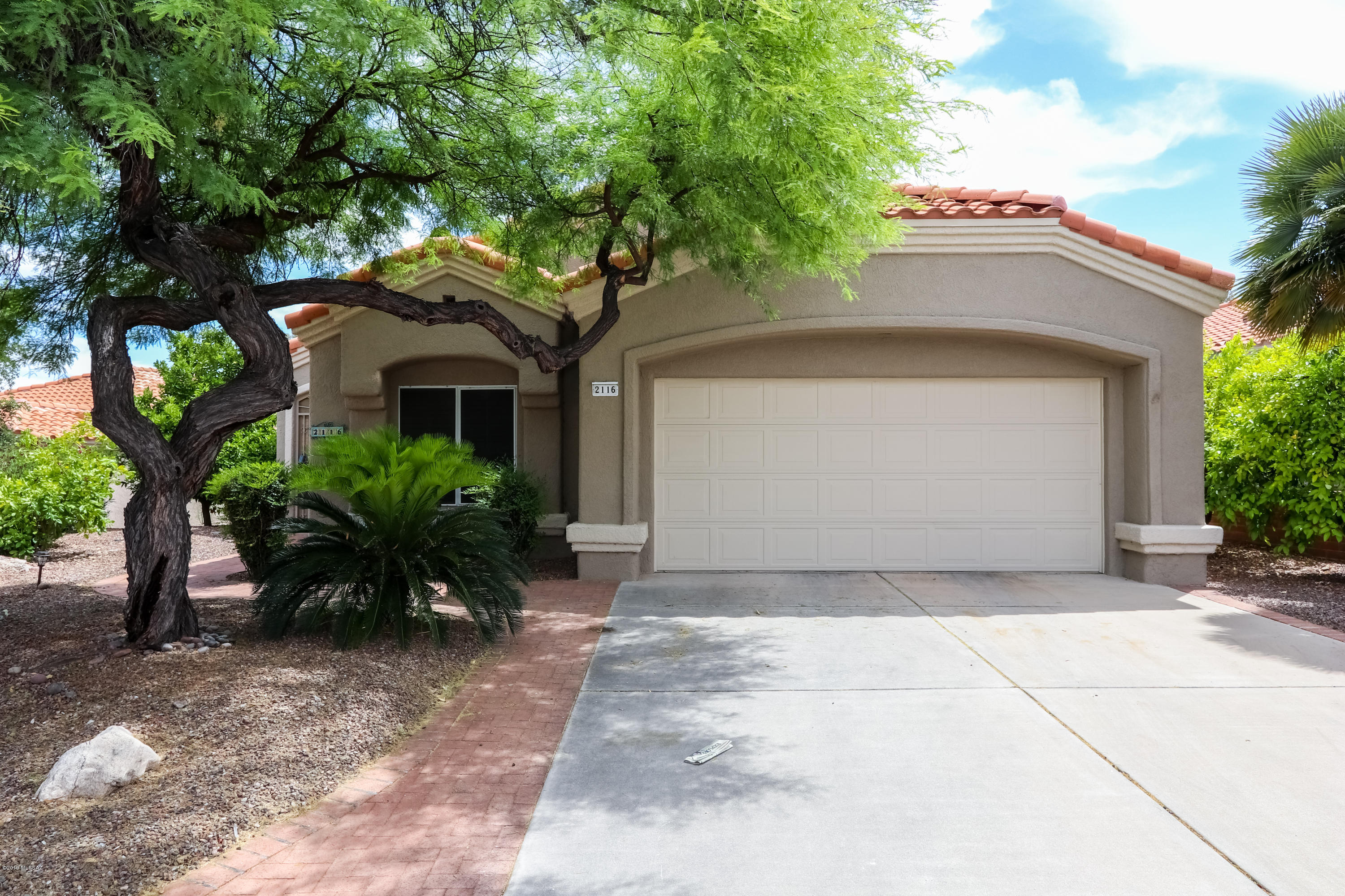 2116 E Ruellia Drive