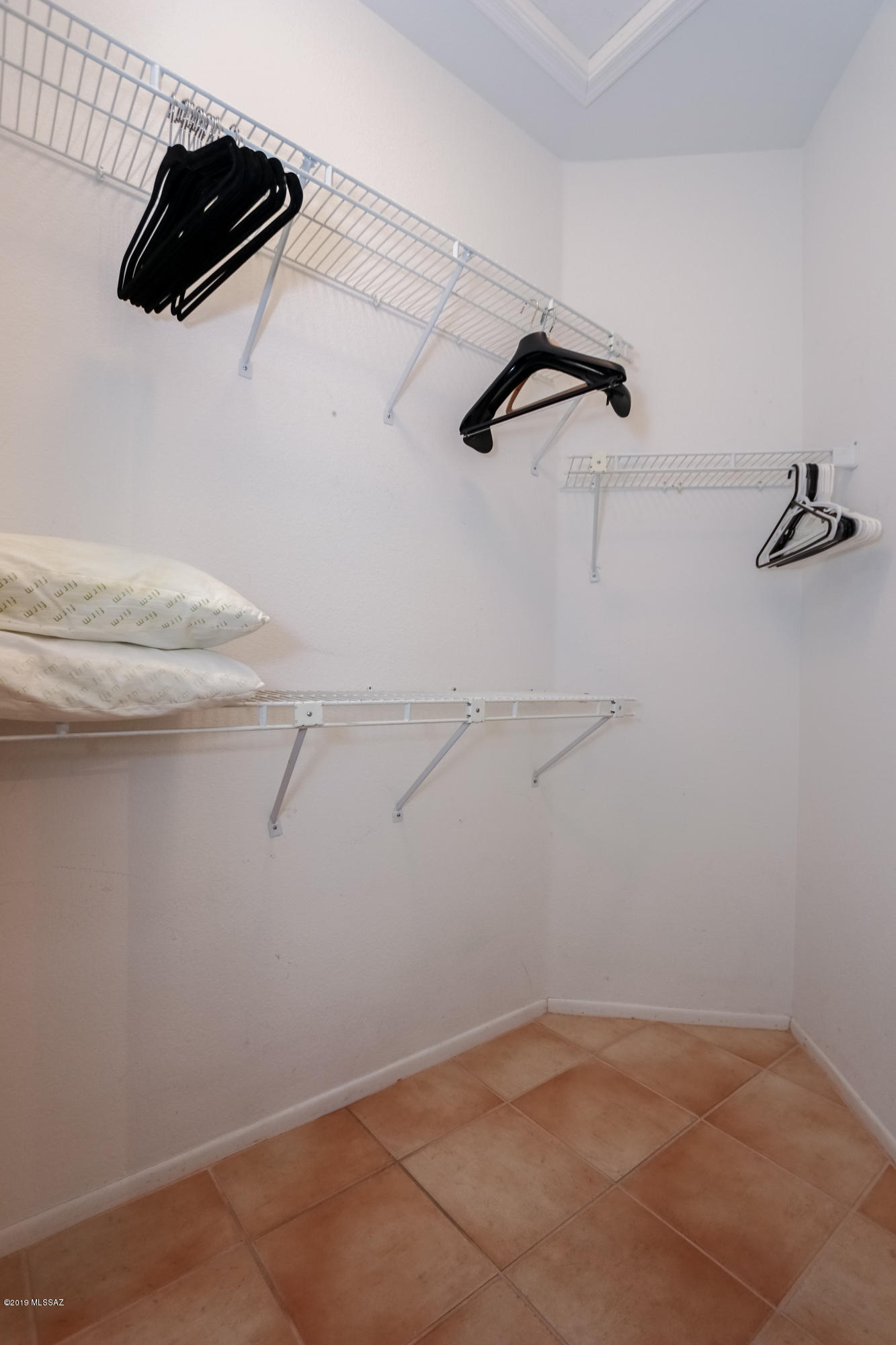 2116 E Ruellia Drive