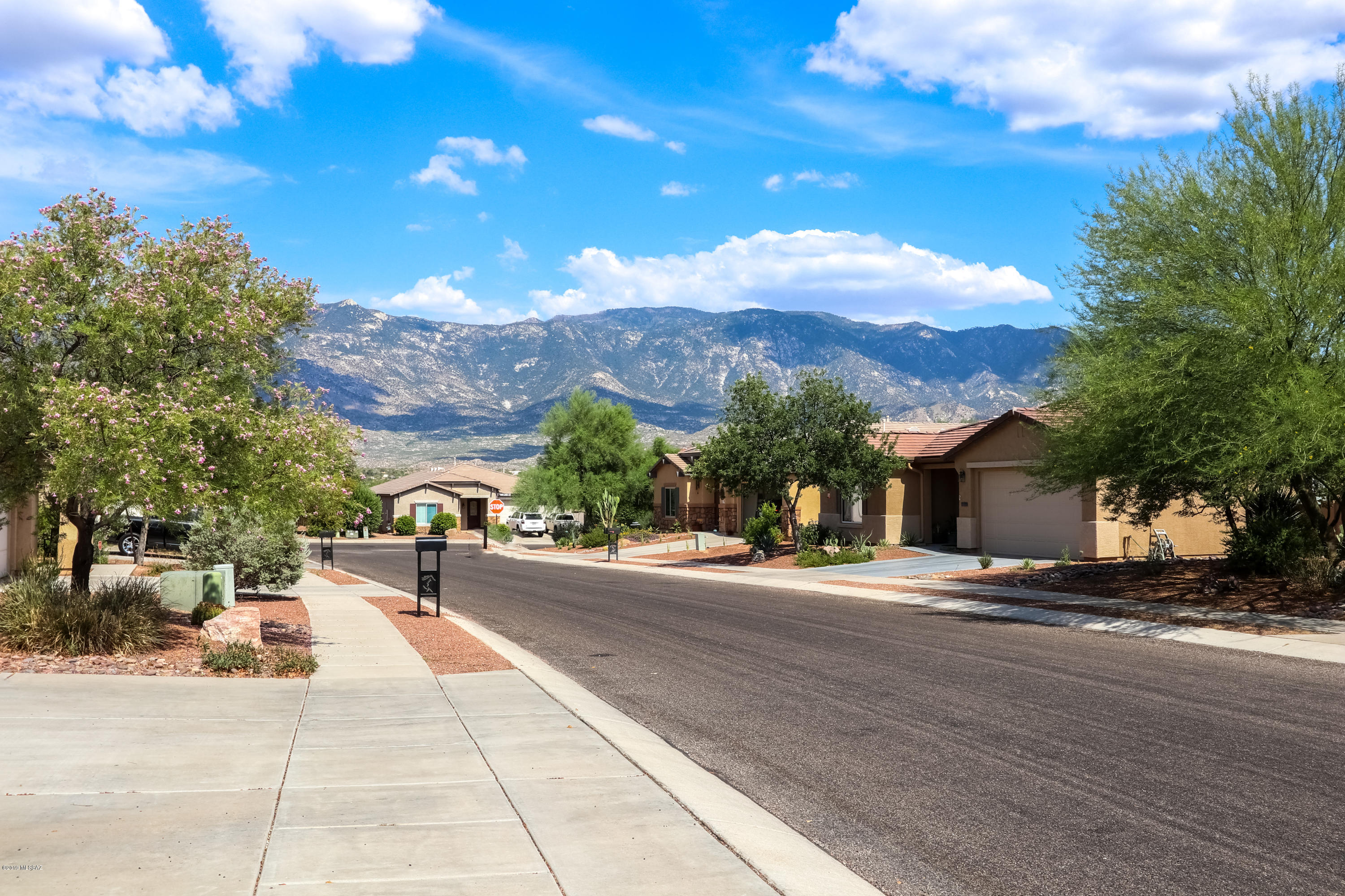 3645 E Farrier Drive