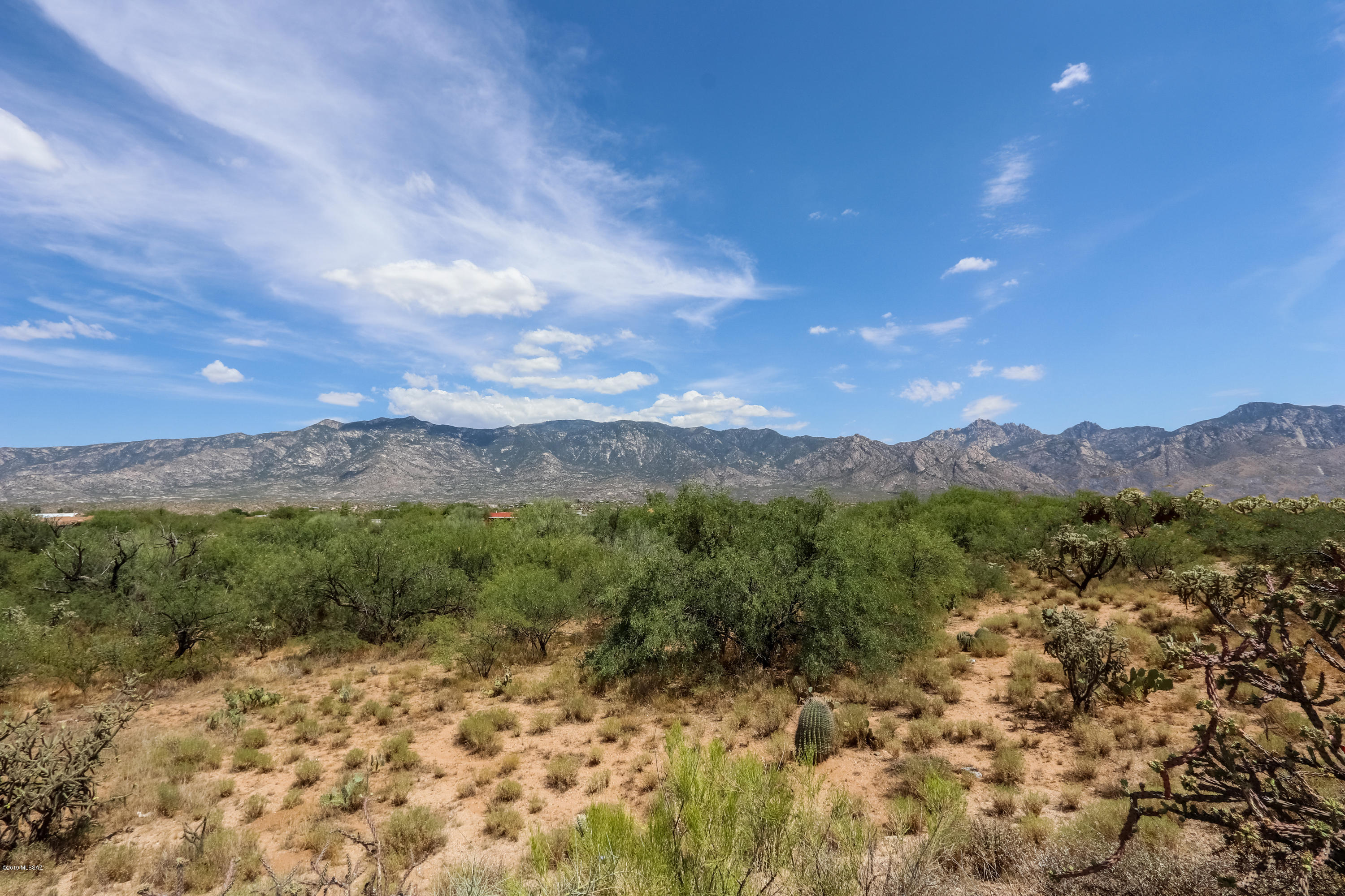 3645 E Farrier Drive