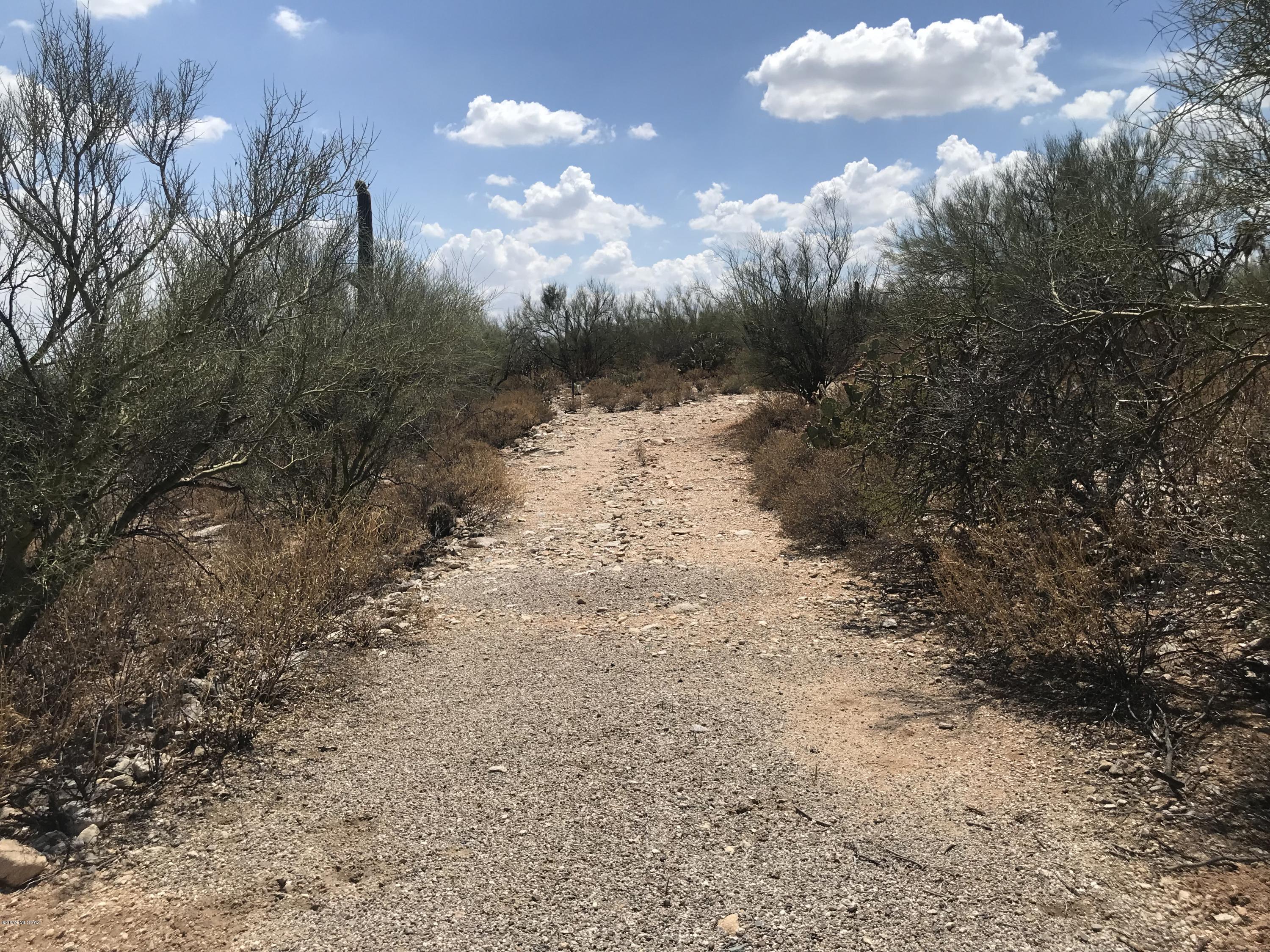 7125 N Thunderhead Drive