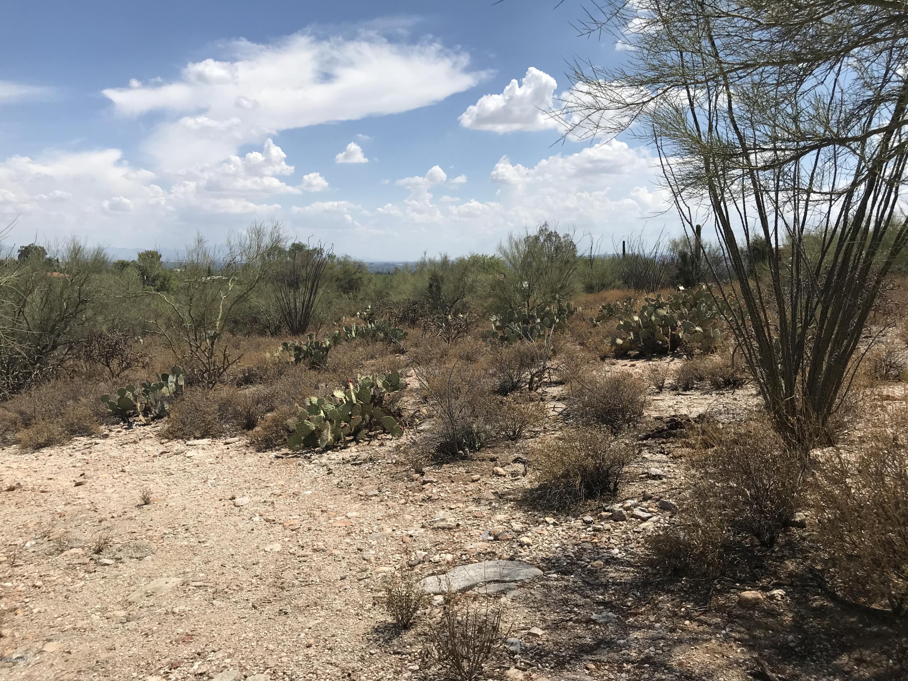 7125 N Thunderhead Drive