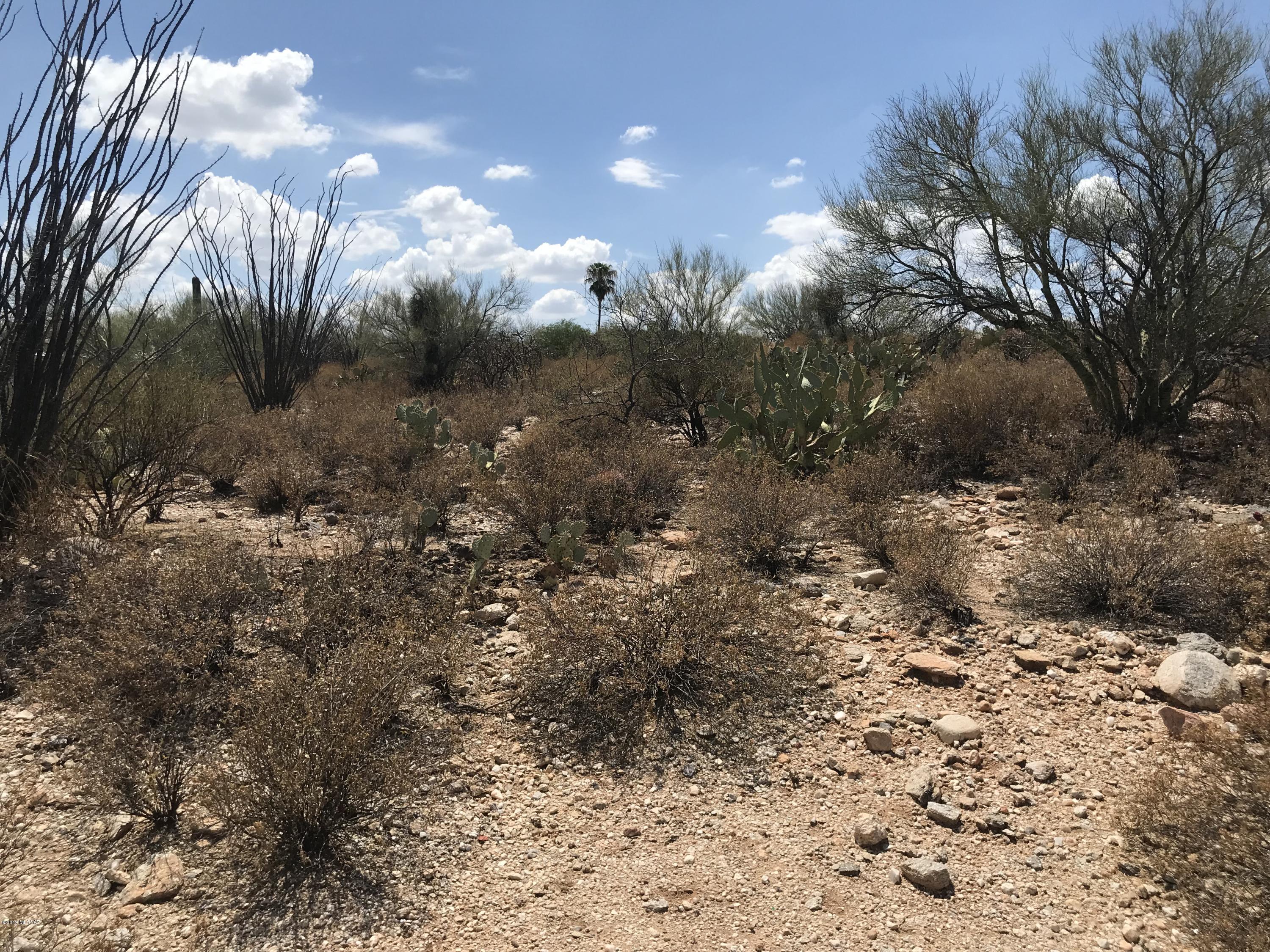 7125 N Thunderhead Drive