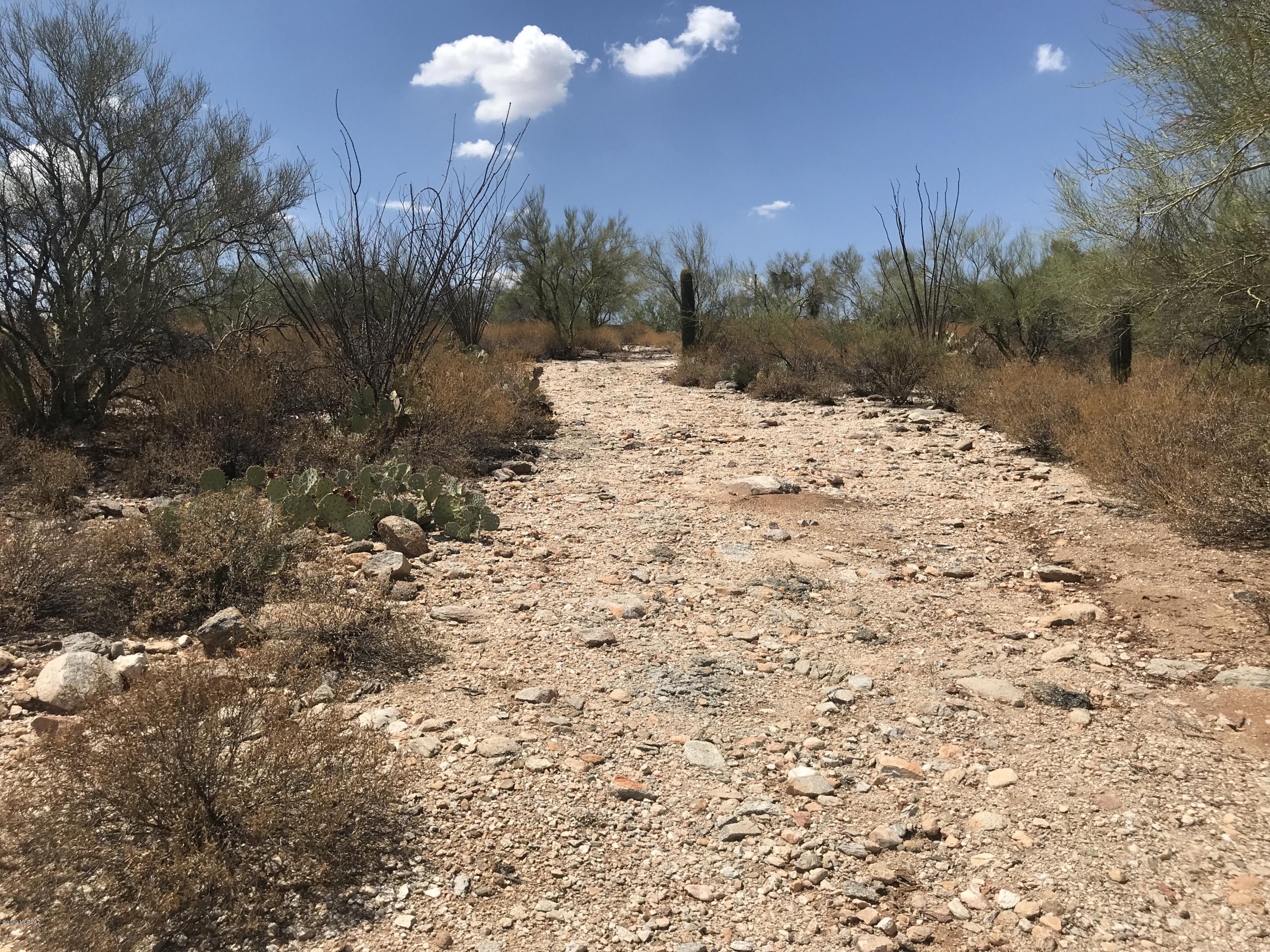 7125 N Thunderhead Drive