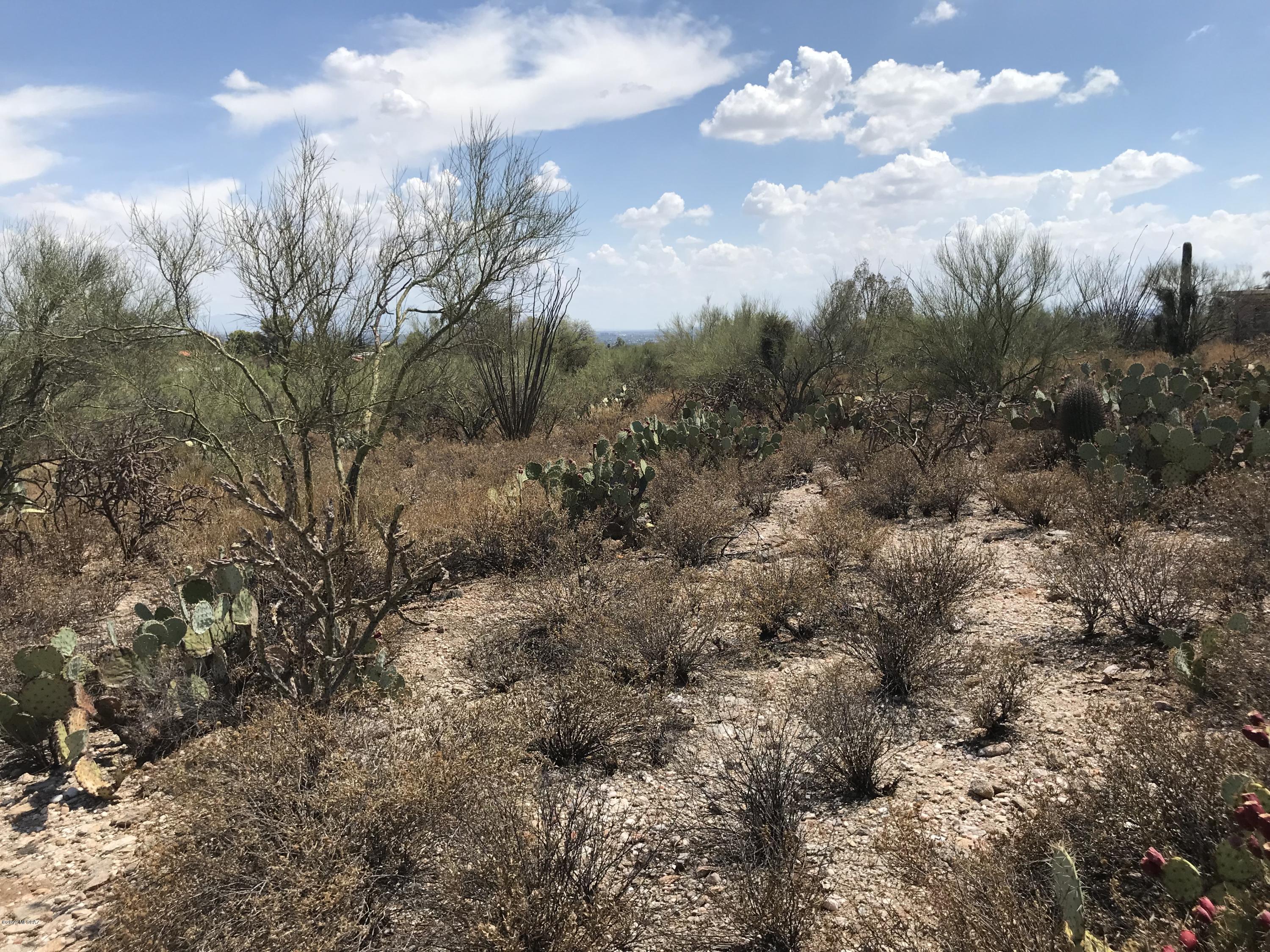 7125 N Thunderhead Drive