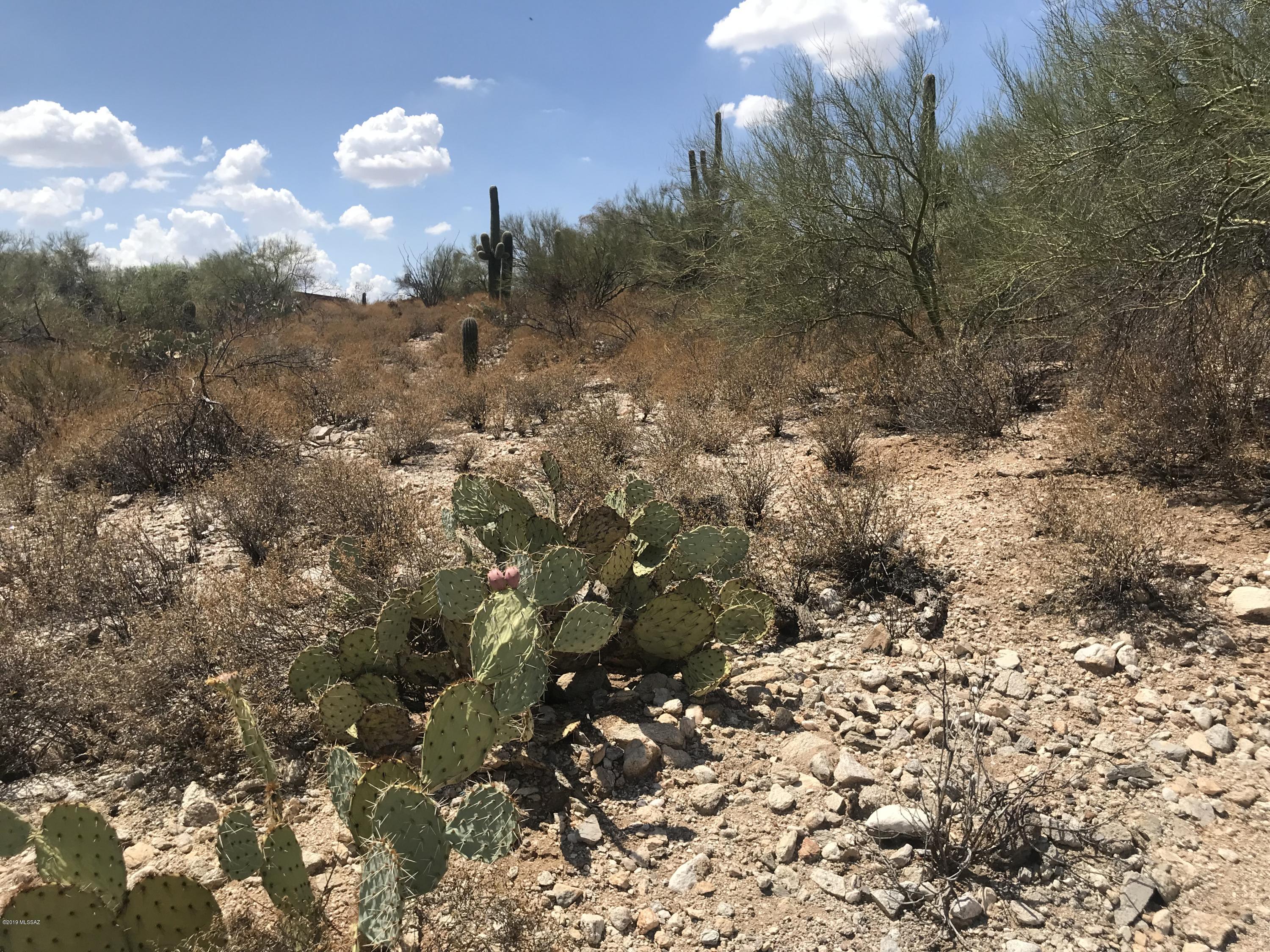 7125 N Thunderhead Drive